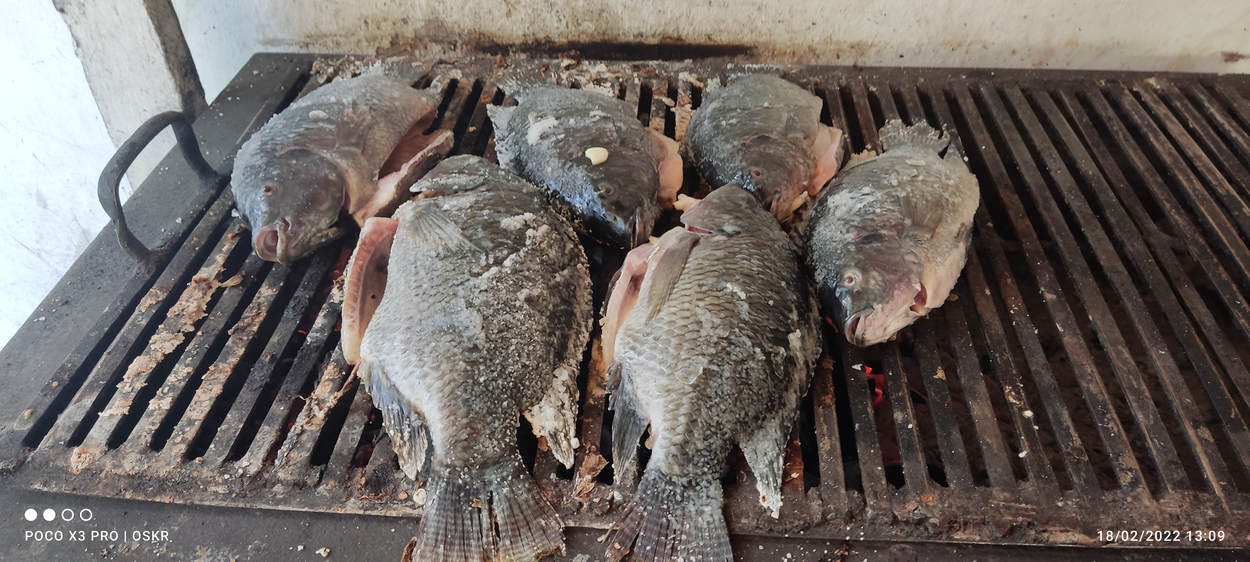 Pescadería Delyta image 7