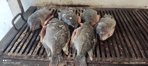 Pescadería Delyta image 7