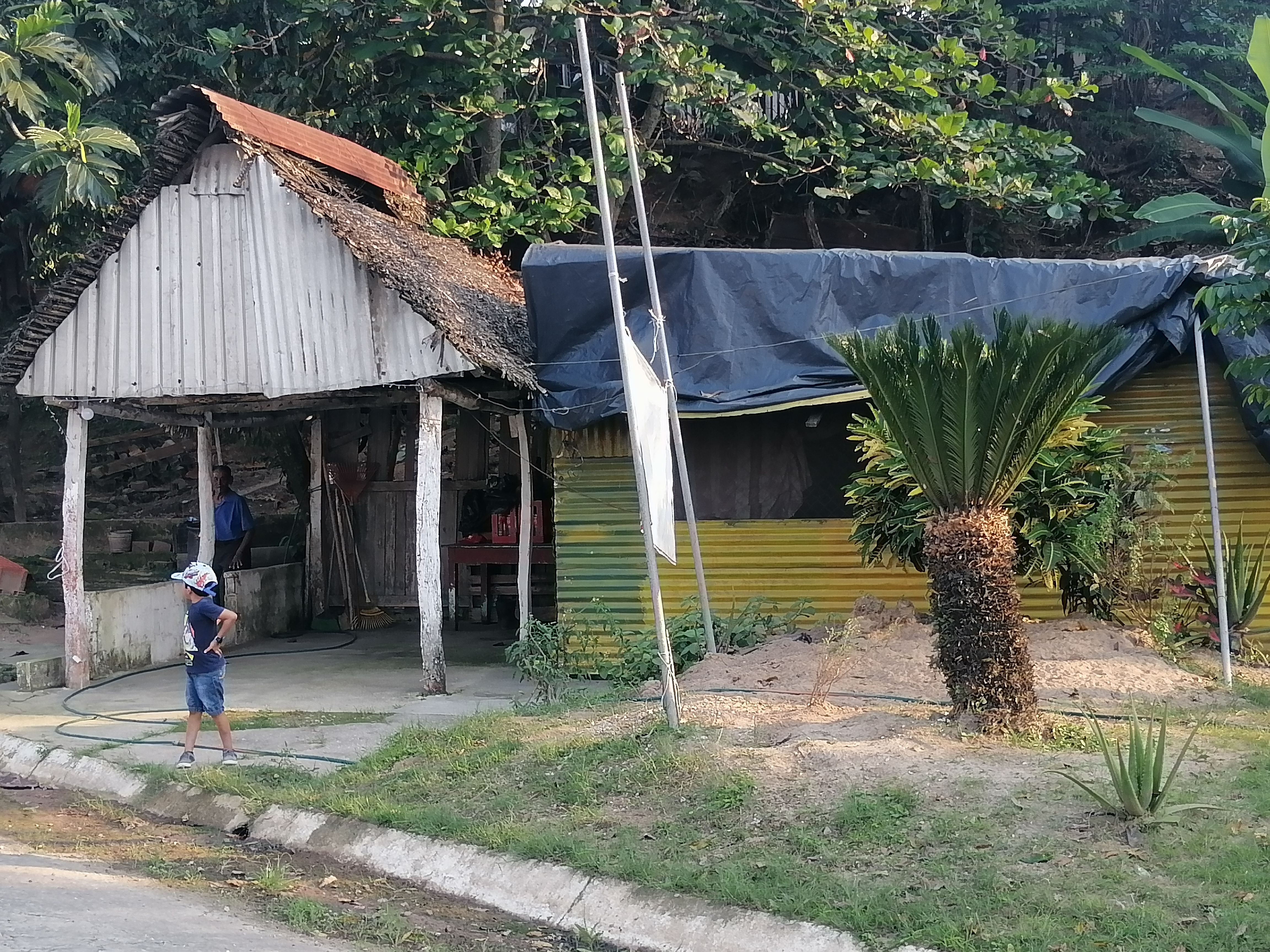 Comedor la potra image 2