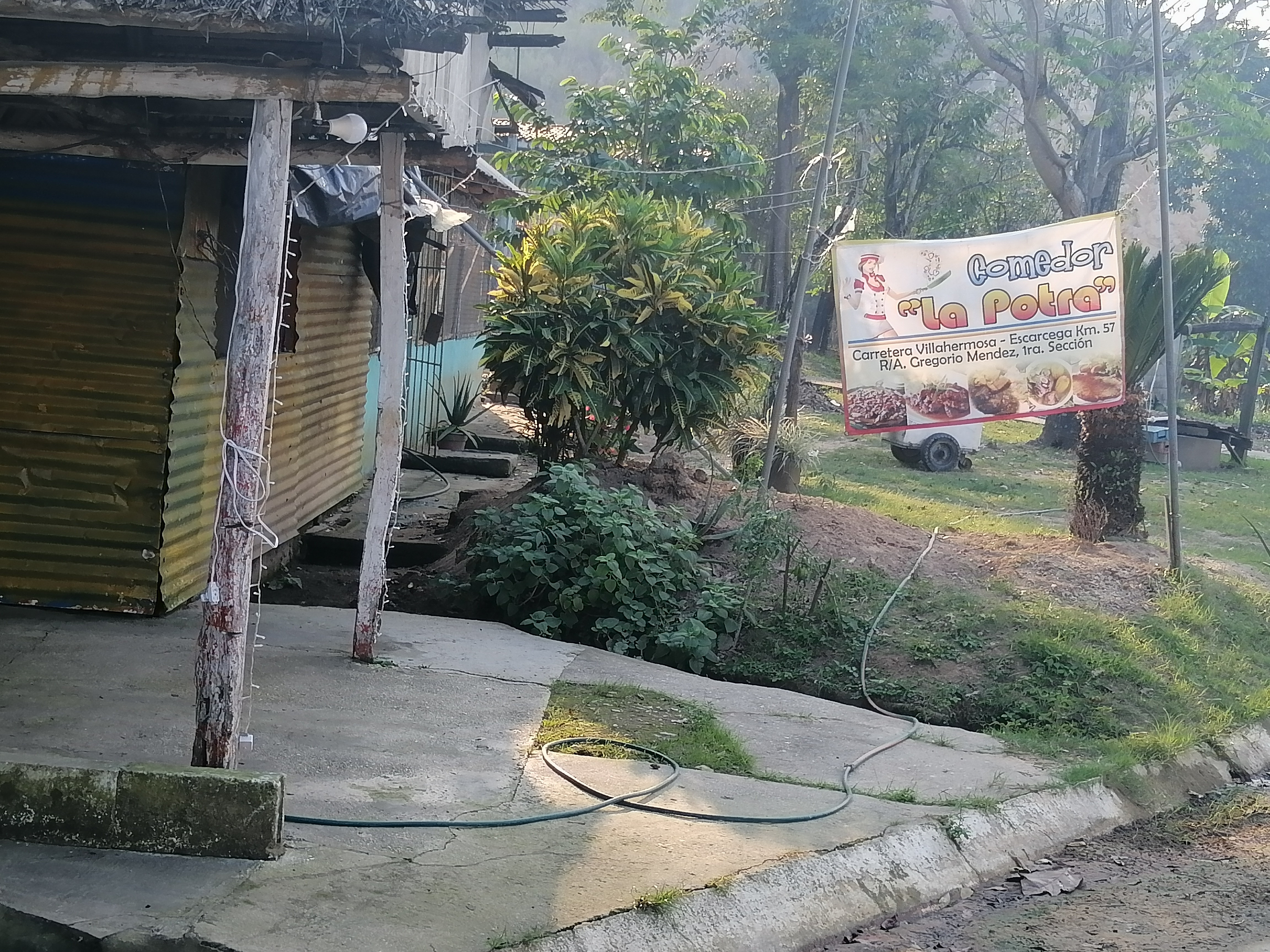 Comedor la potra image 3