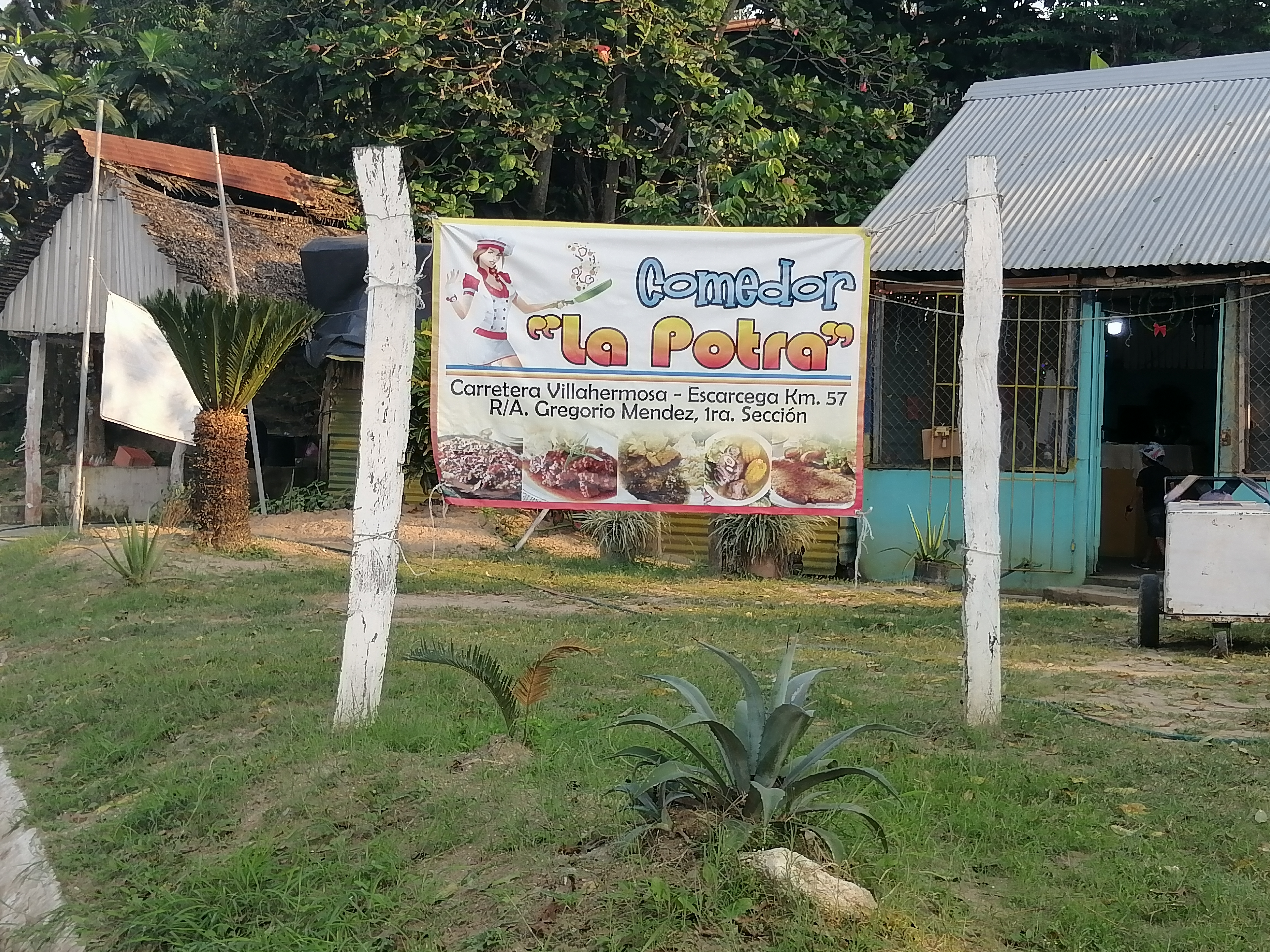 Comedor la potra image 4