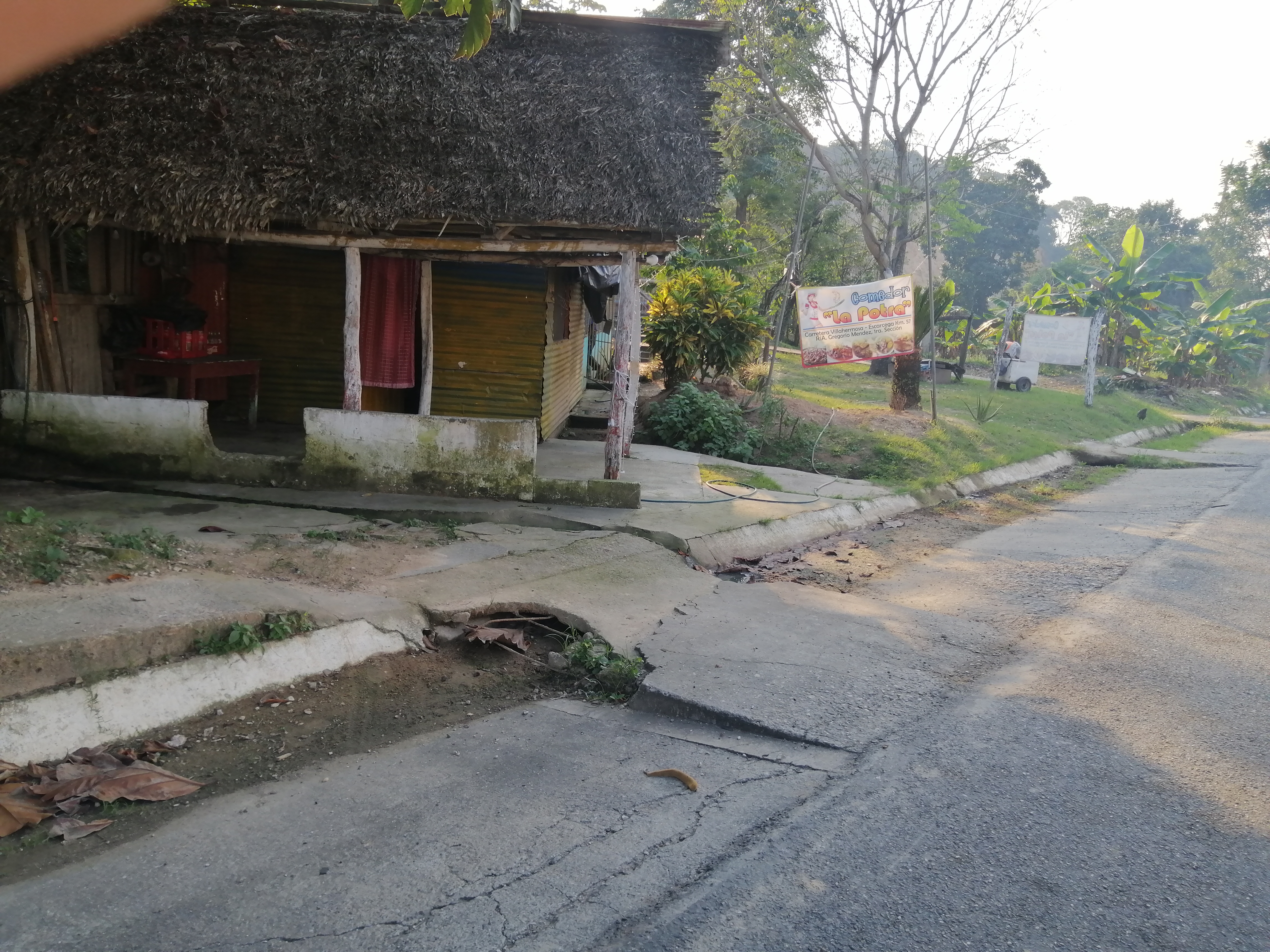 Comedor la potra image 5