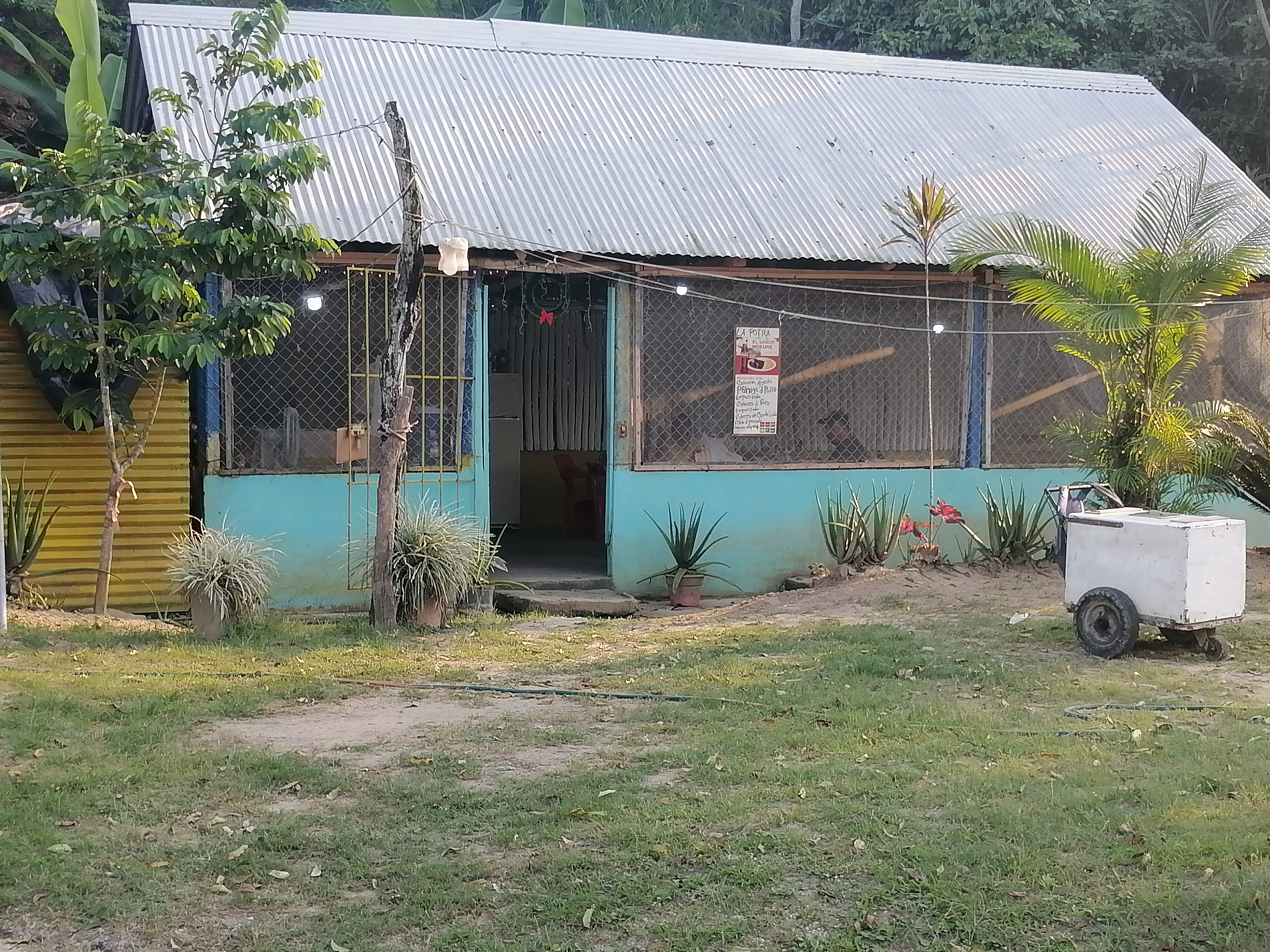 Comedor la potra image 6