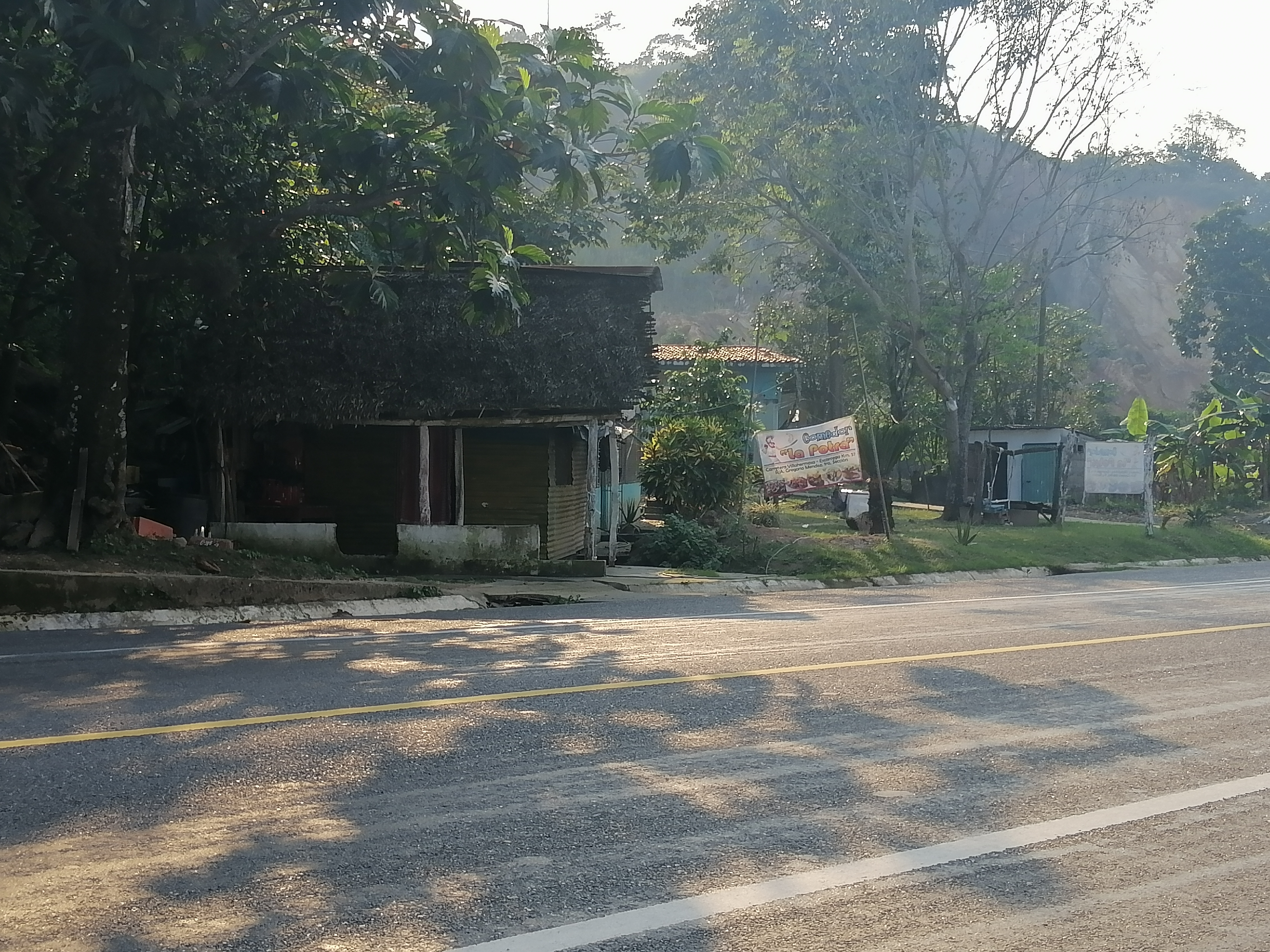 Comedor la potra image 7