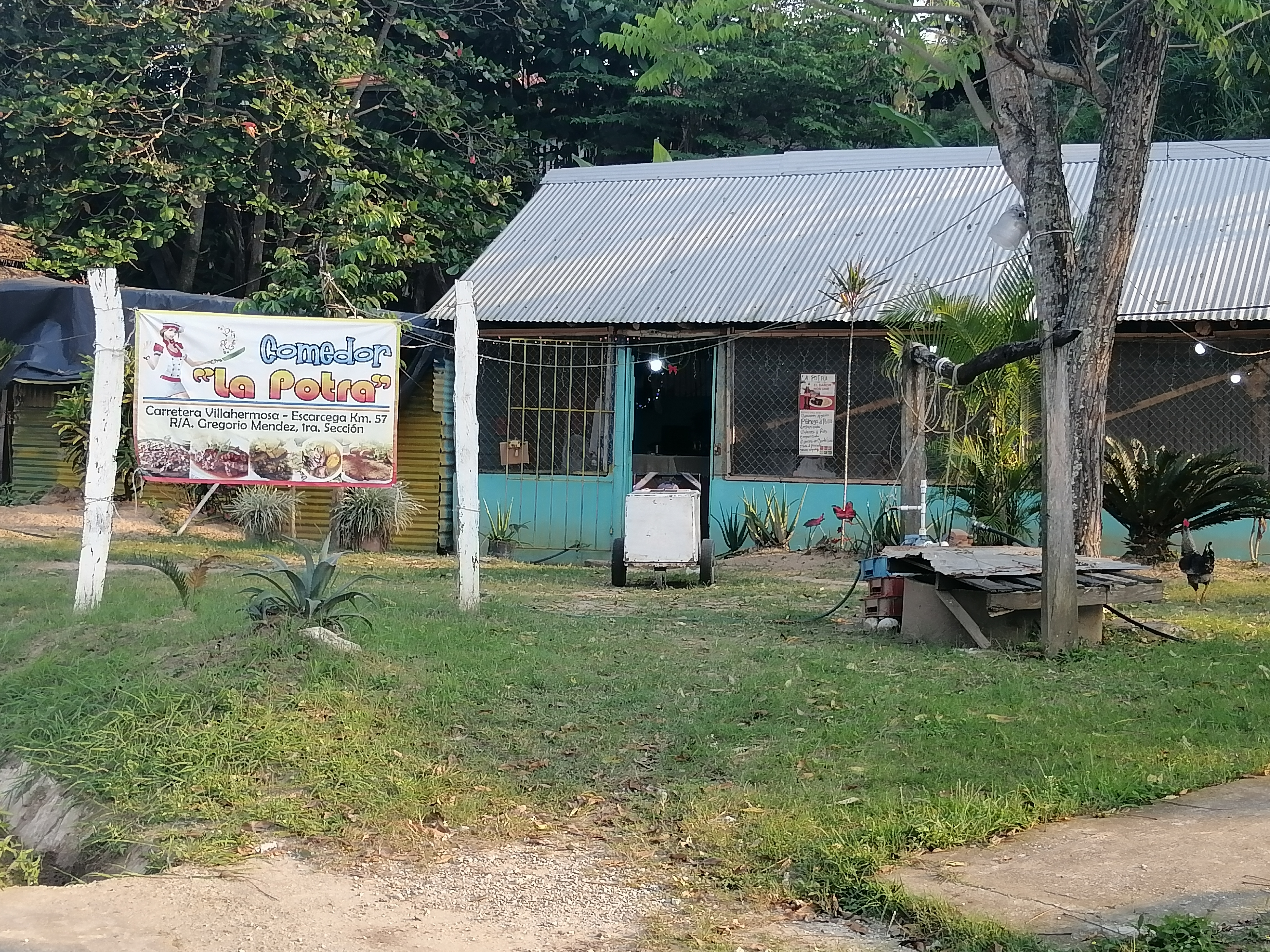 Comedor la potra image 9
