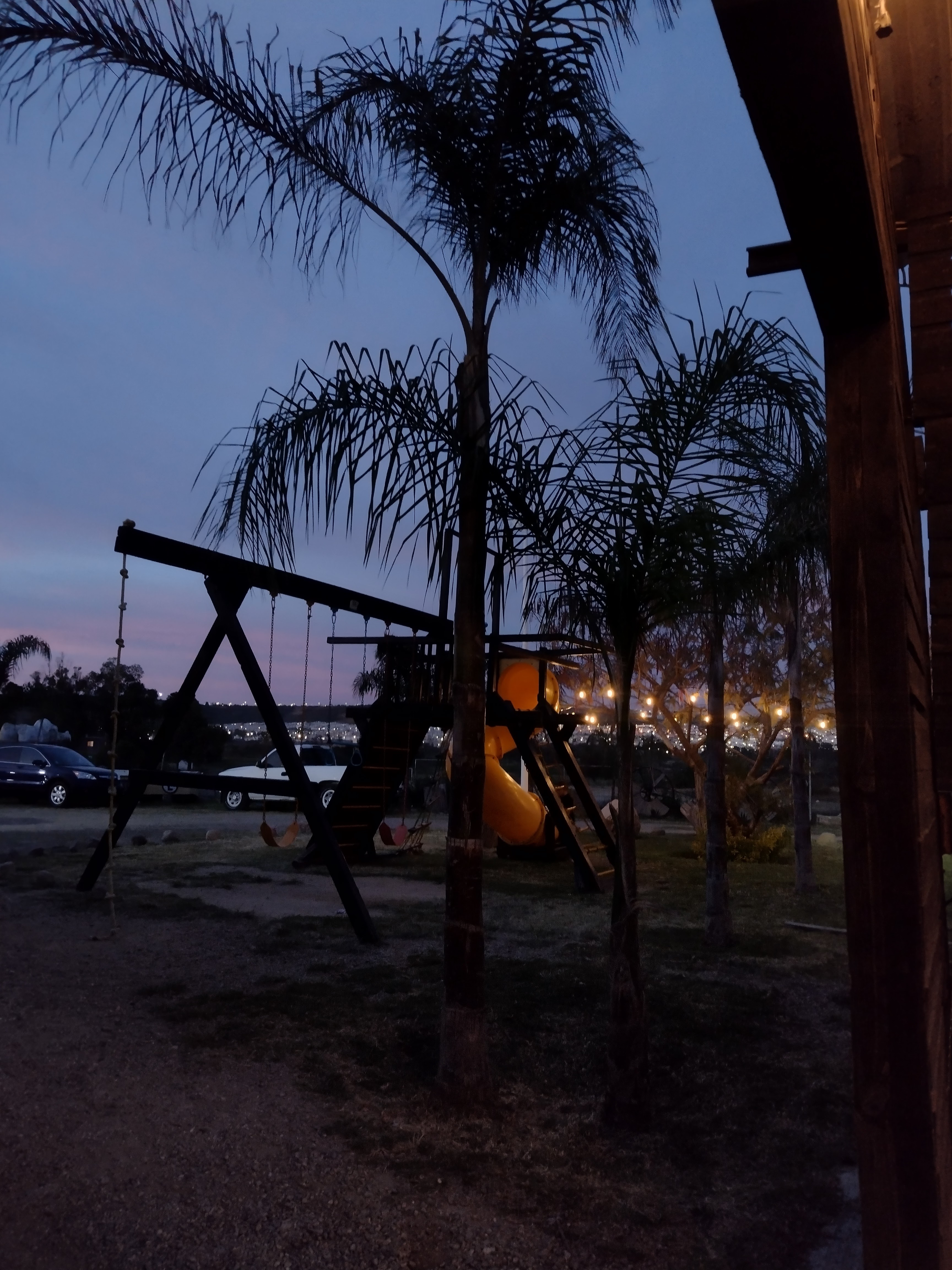 MARISCOS SAN HERMION image 8