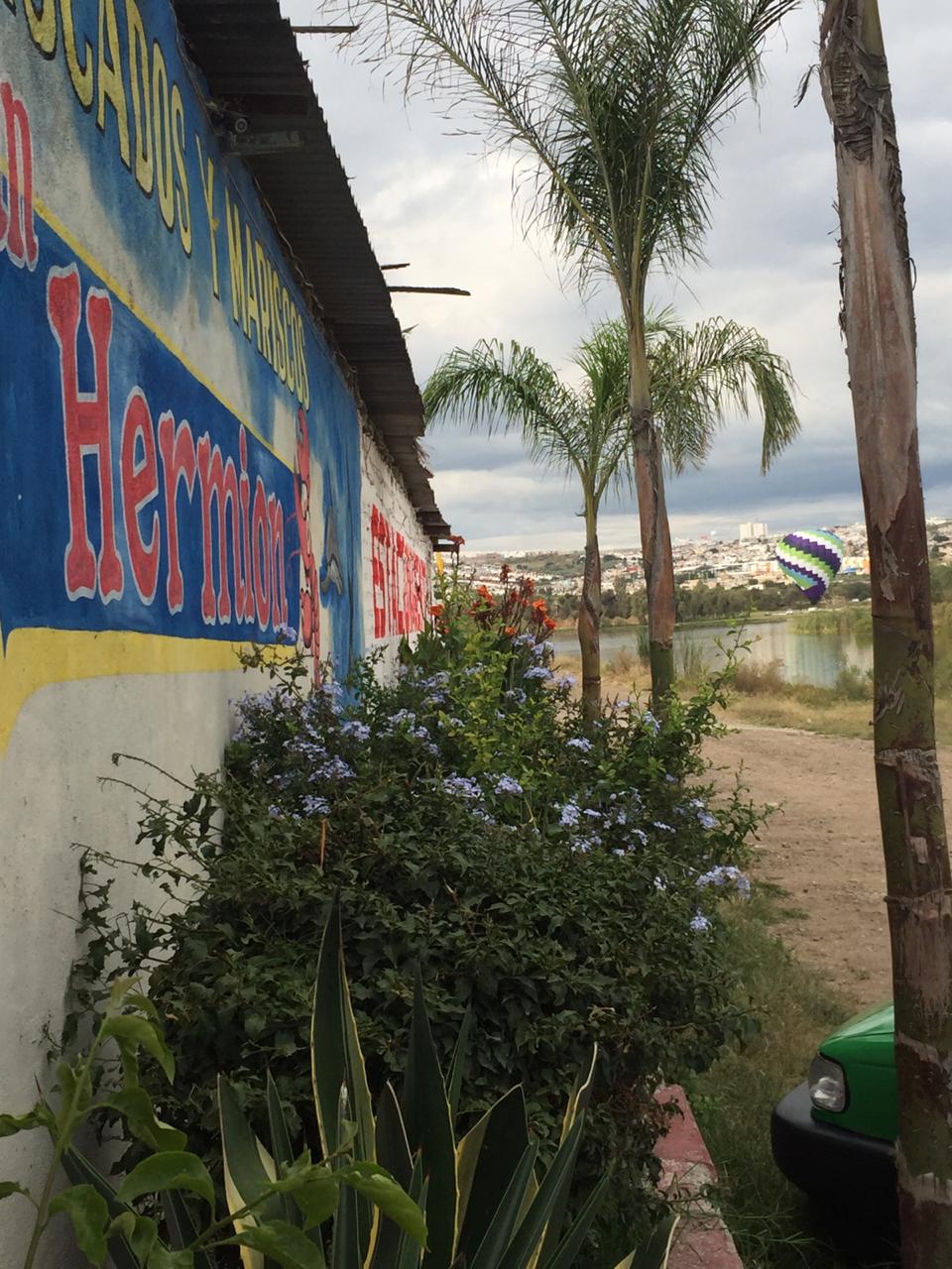 MARISCOS SAN HERMION image 9