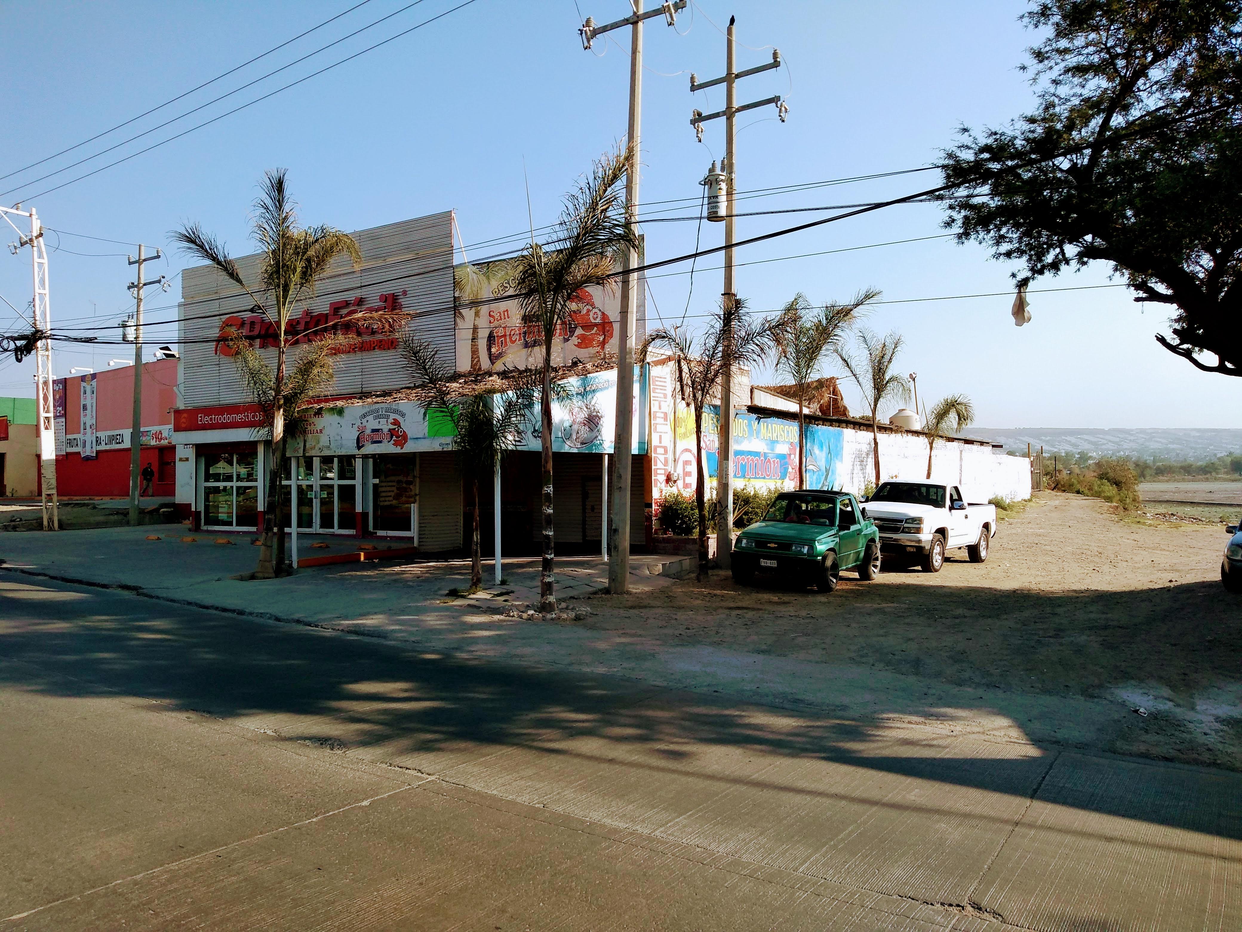 MARISCOS SAN HERMION image 10