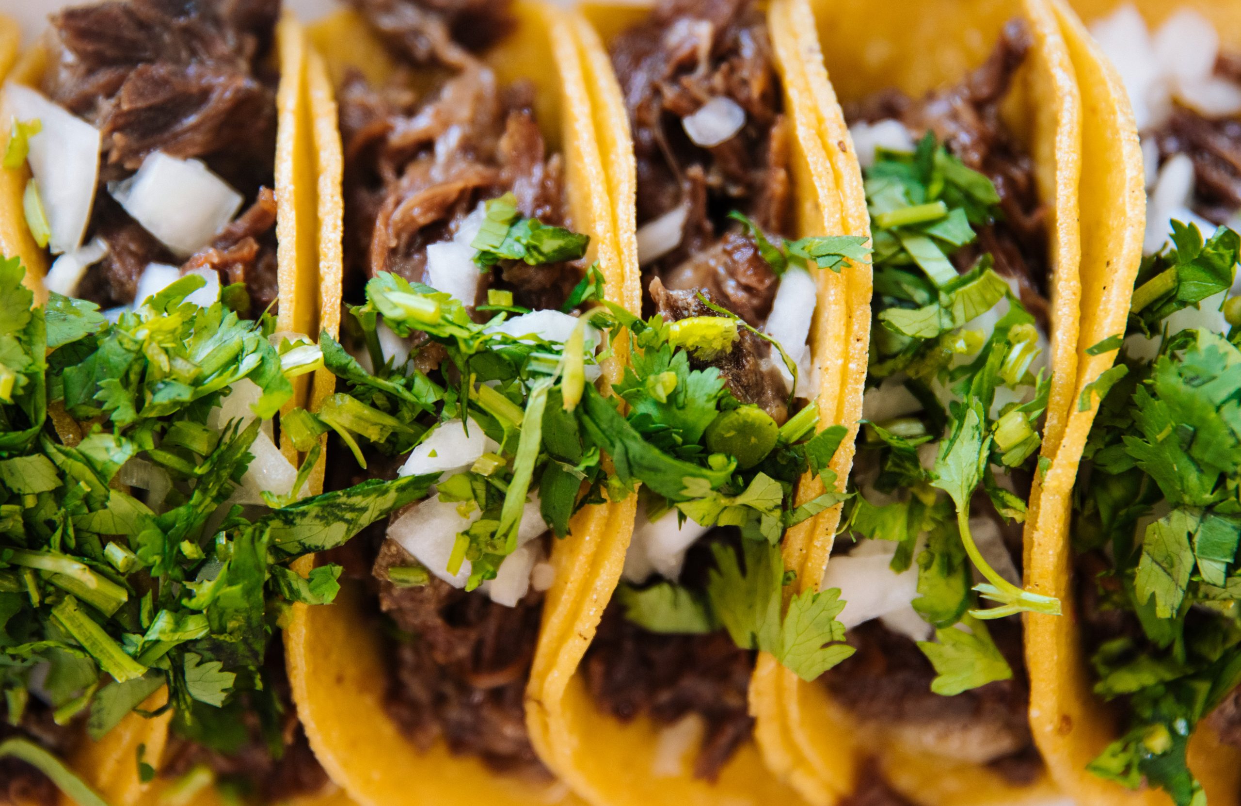 TACOS HOMERO image 2