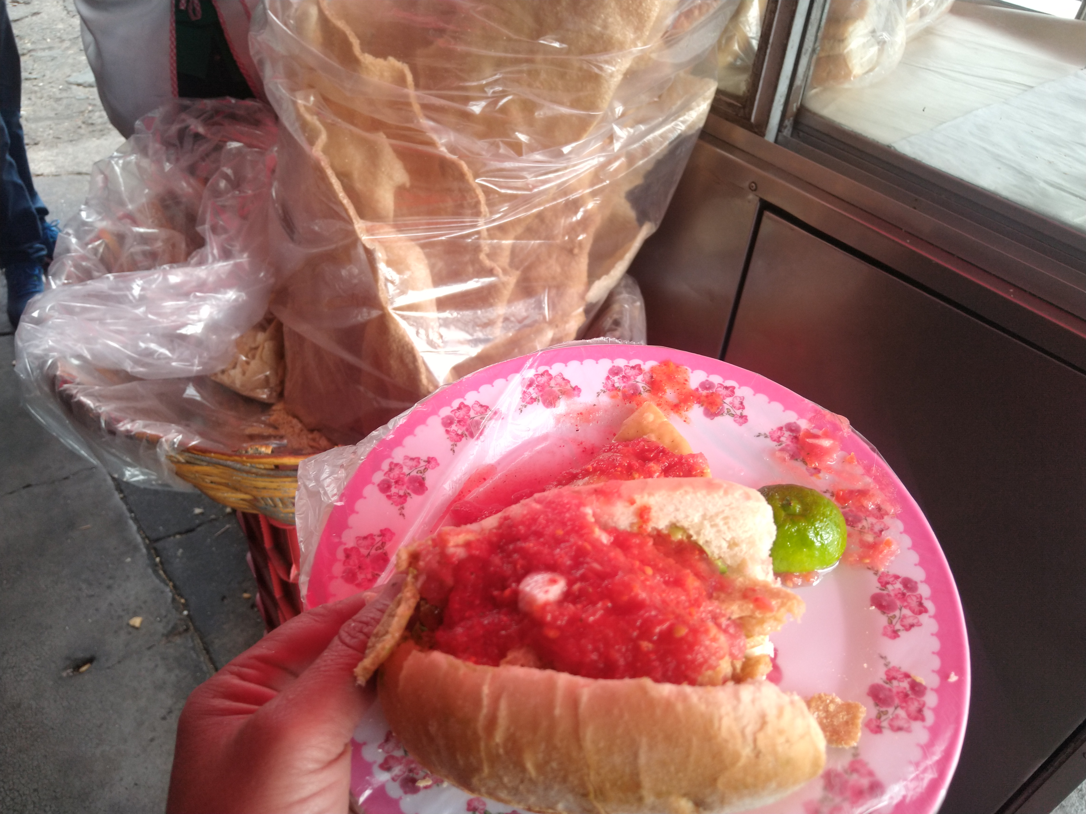 Guacamayas Javier image 4