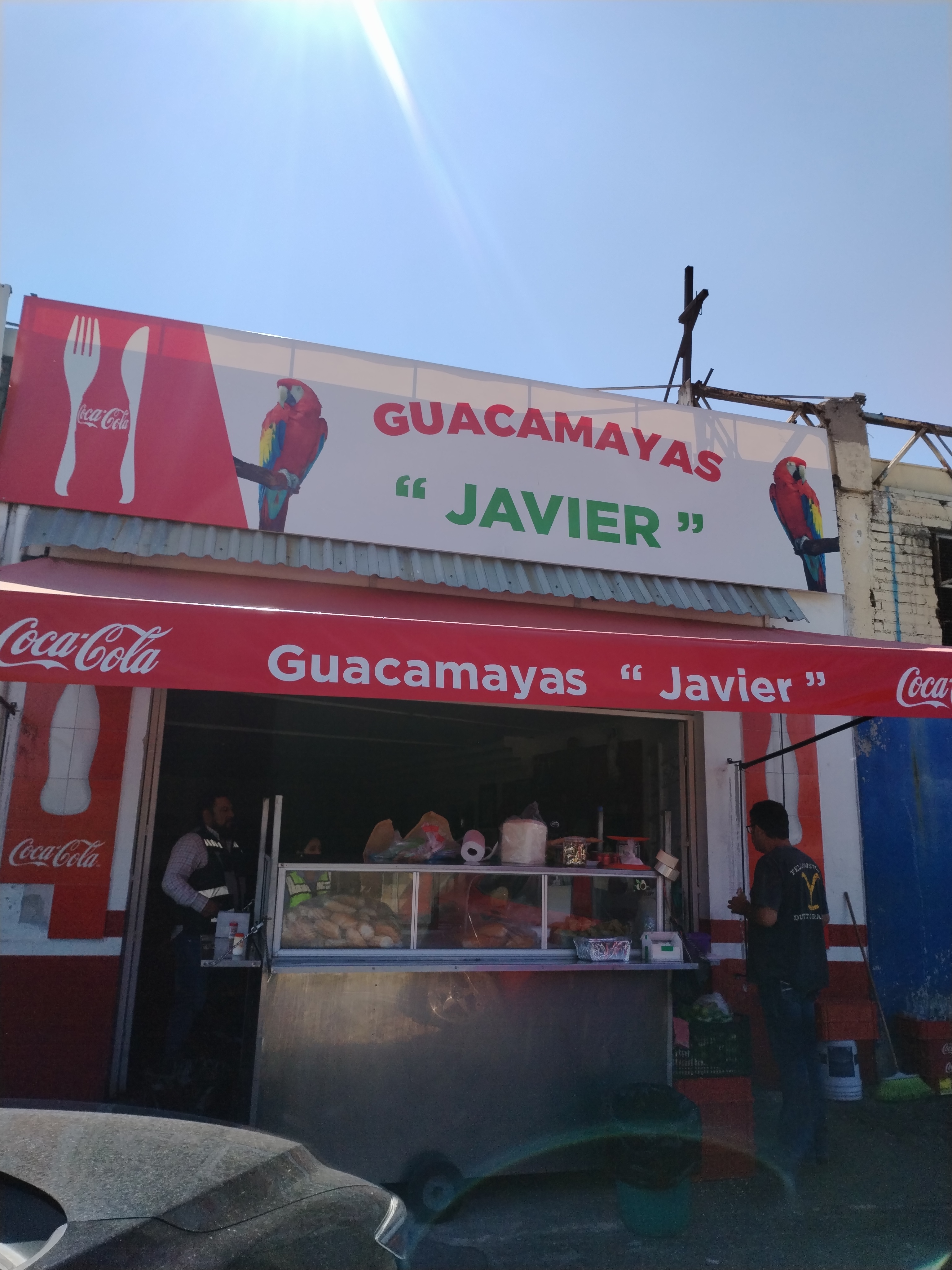 Guacamayas Javier image 5