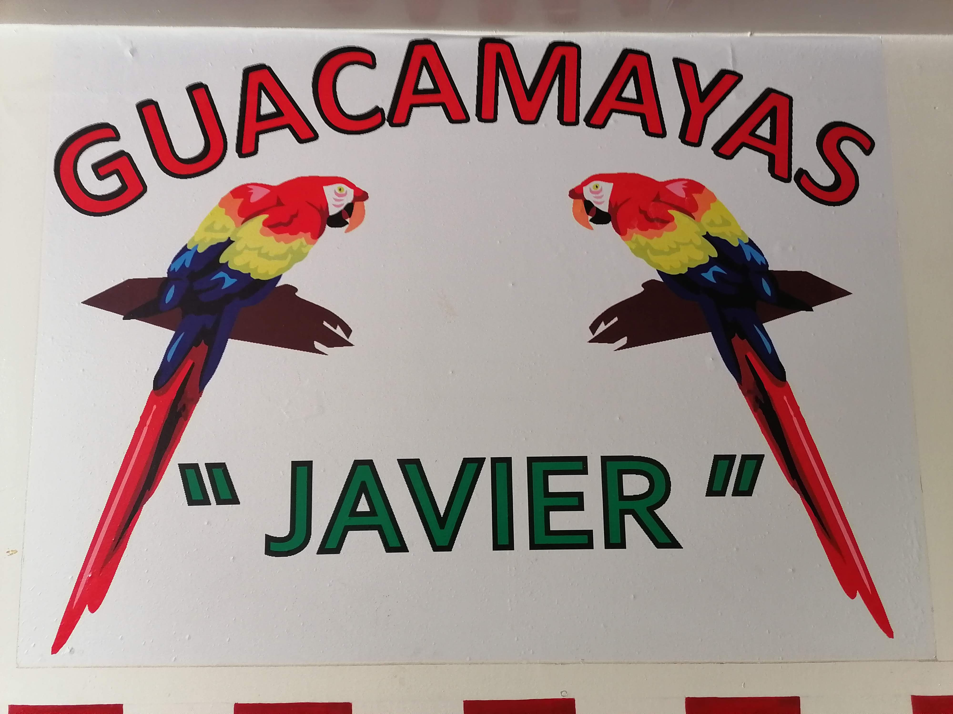 Guacamayas Javier image 6