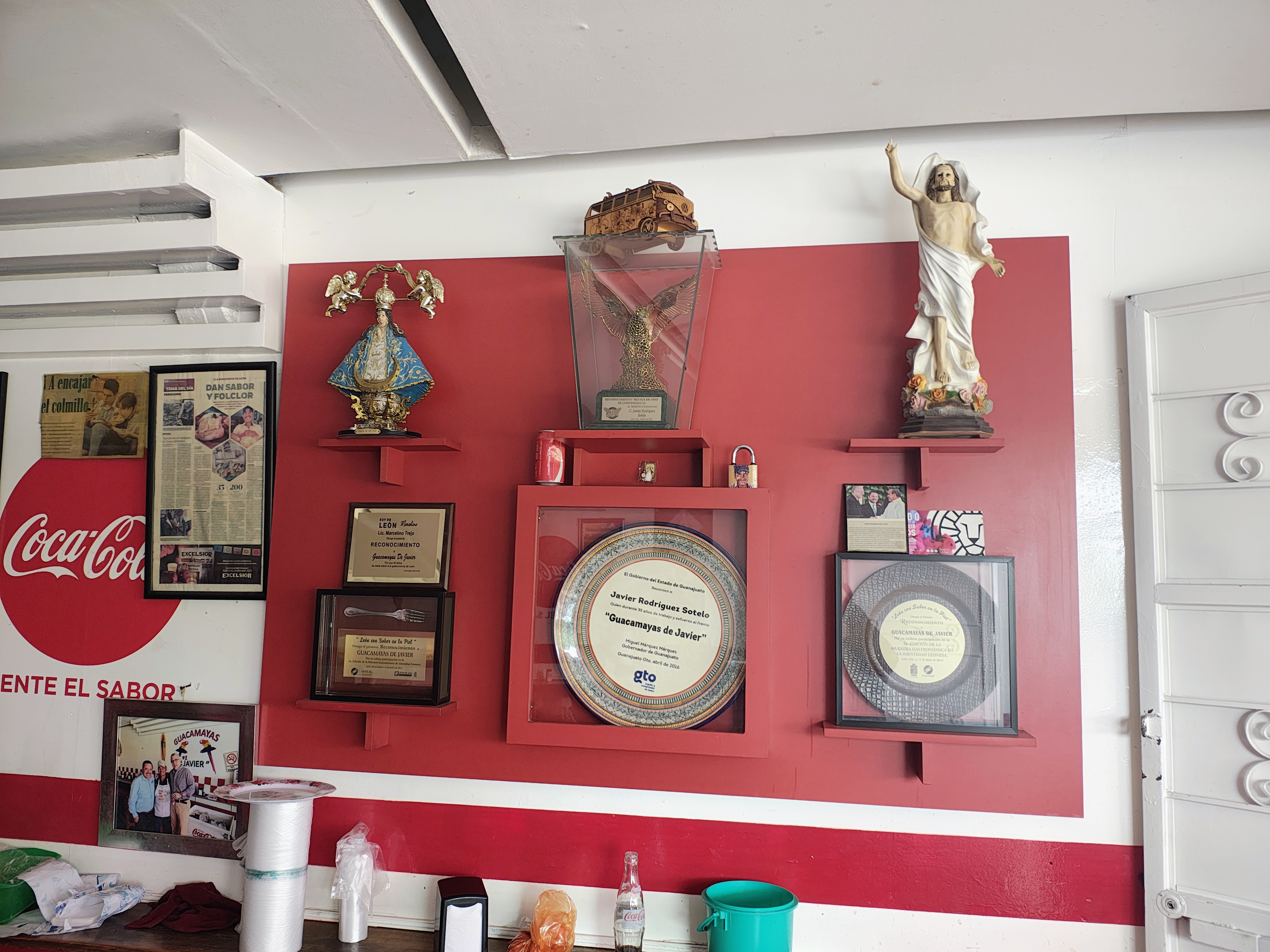 Guacamayas Javier image 7