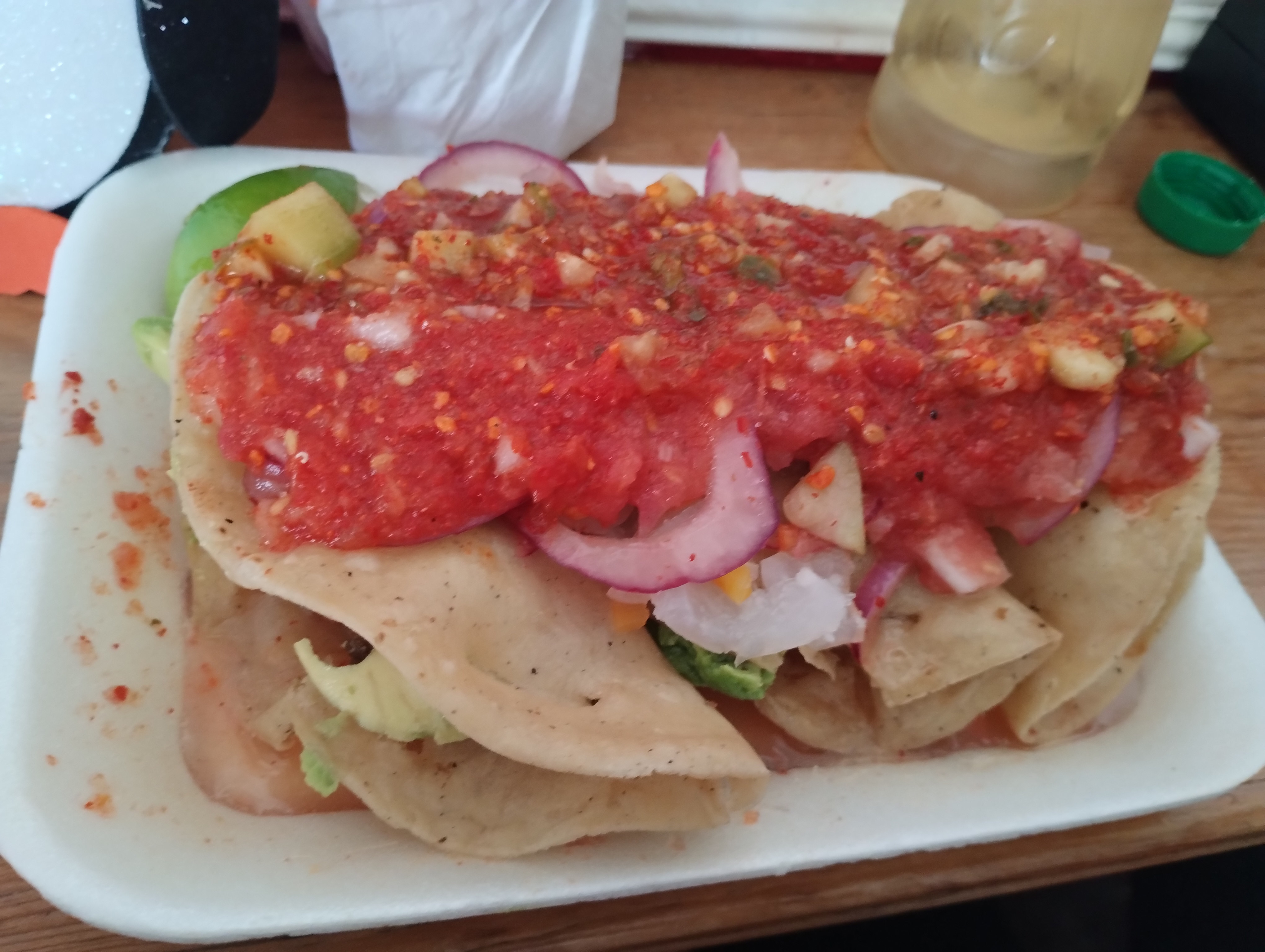 Guacamayas Javier image 9