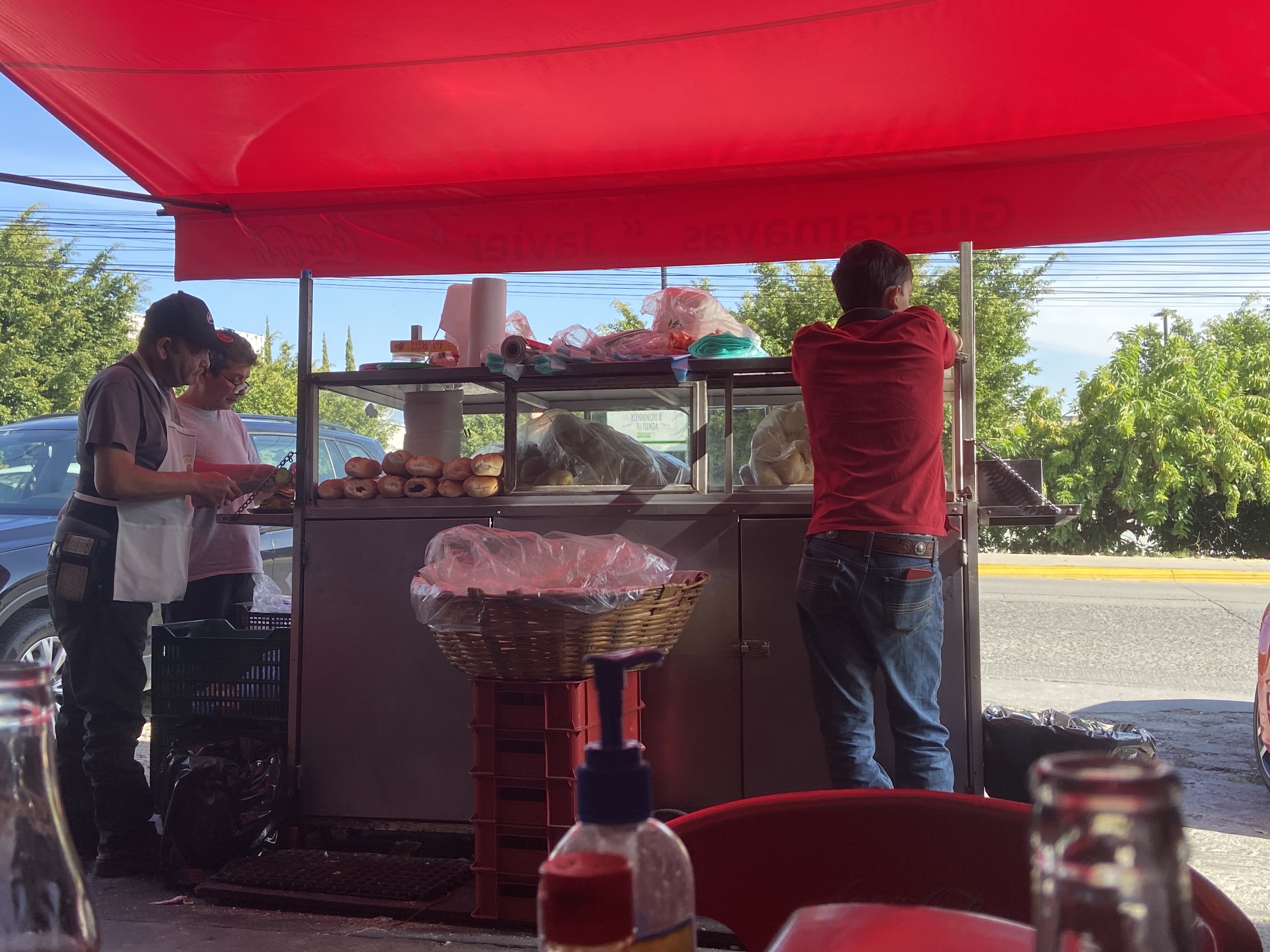 Guacamayas Javier image 10