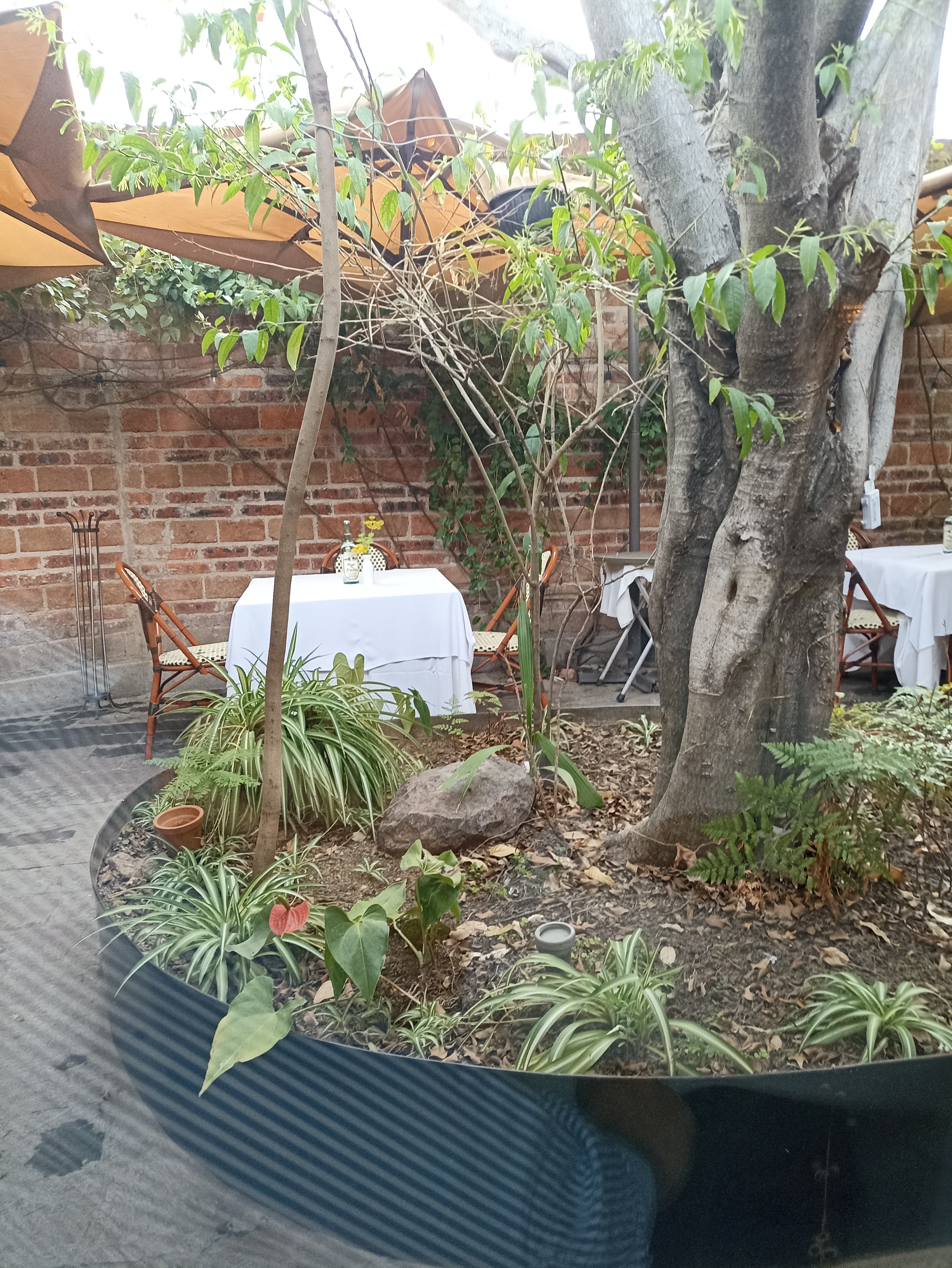 Du Blè Bistro image 5