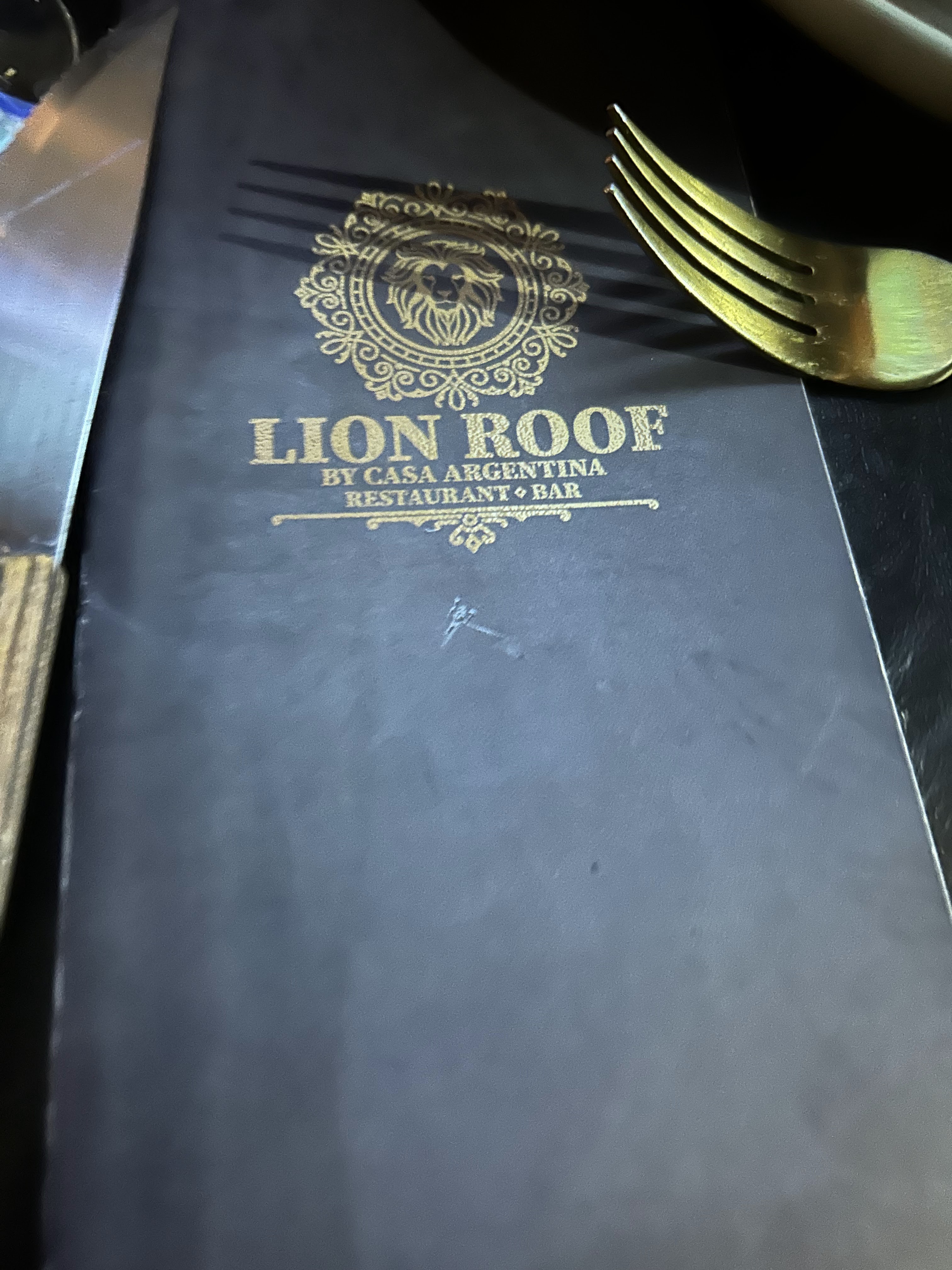 Lion Roof by Casa Argentina image 7