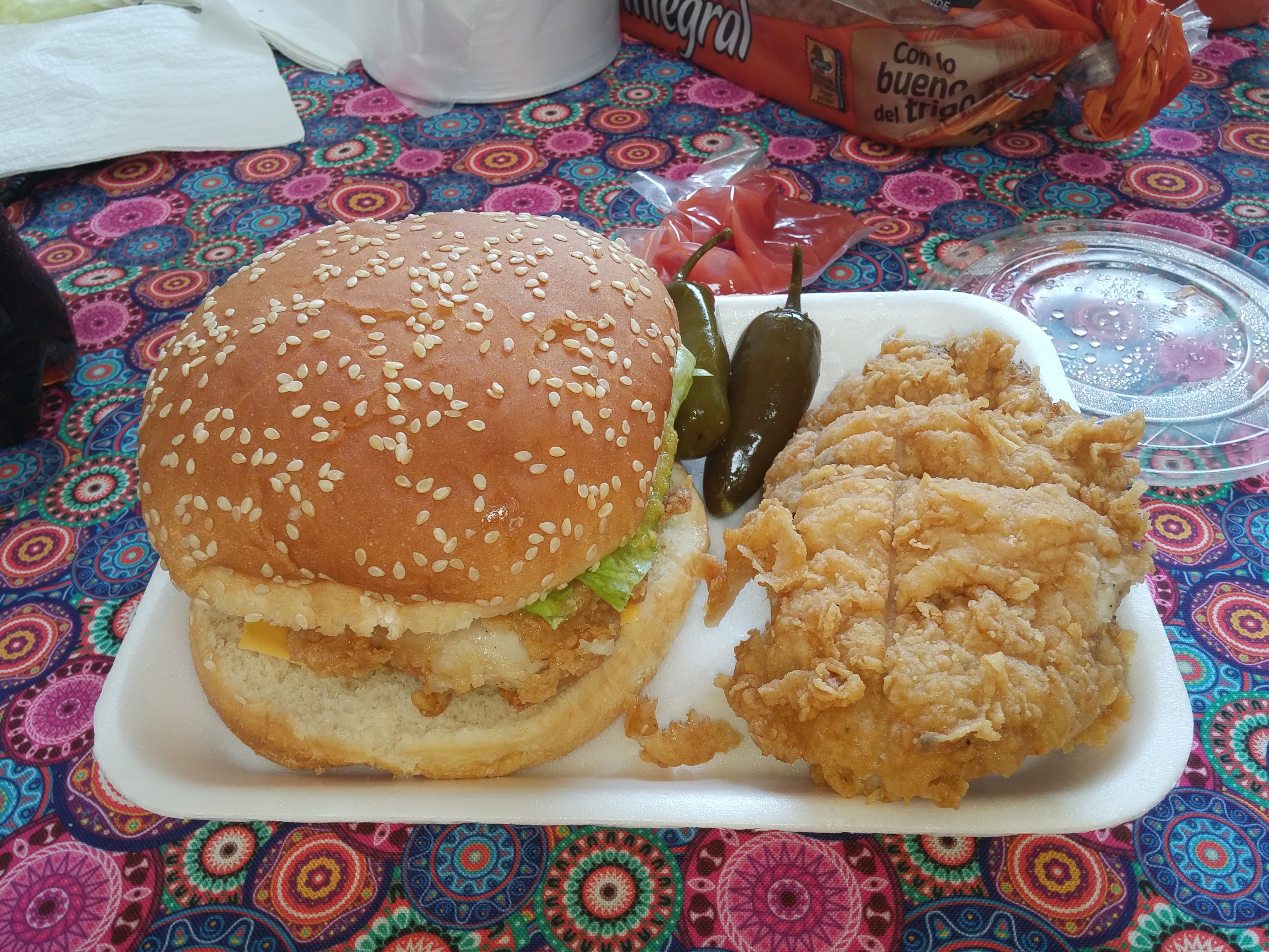 Pollo Chavinda image 1