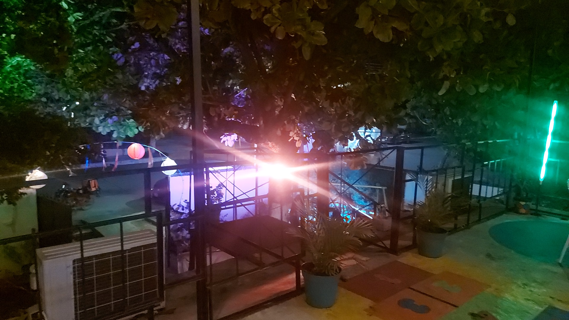 Alegría Restaurante image 6