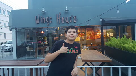wings house image 7
