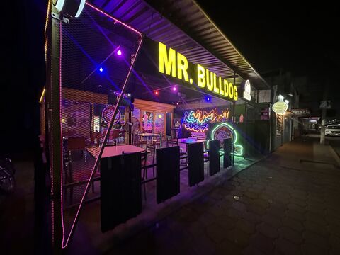 Mr.BullDog image 6