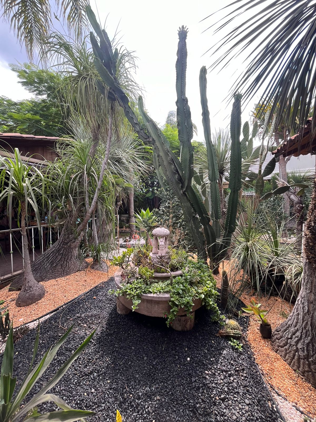 Casa Granada Morelia image 4