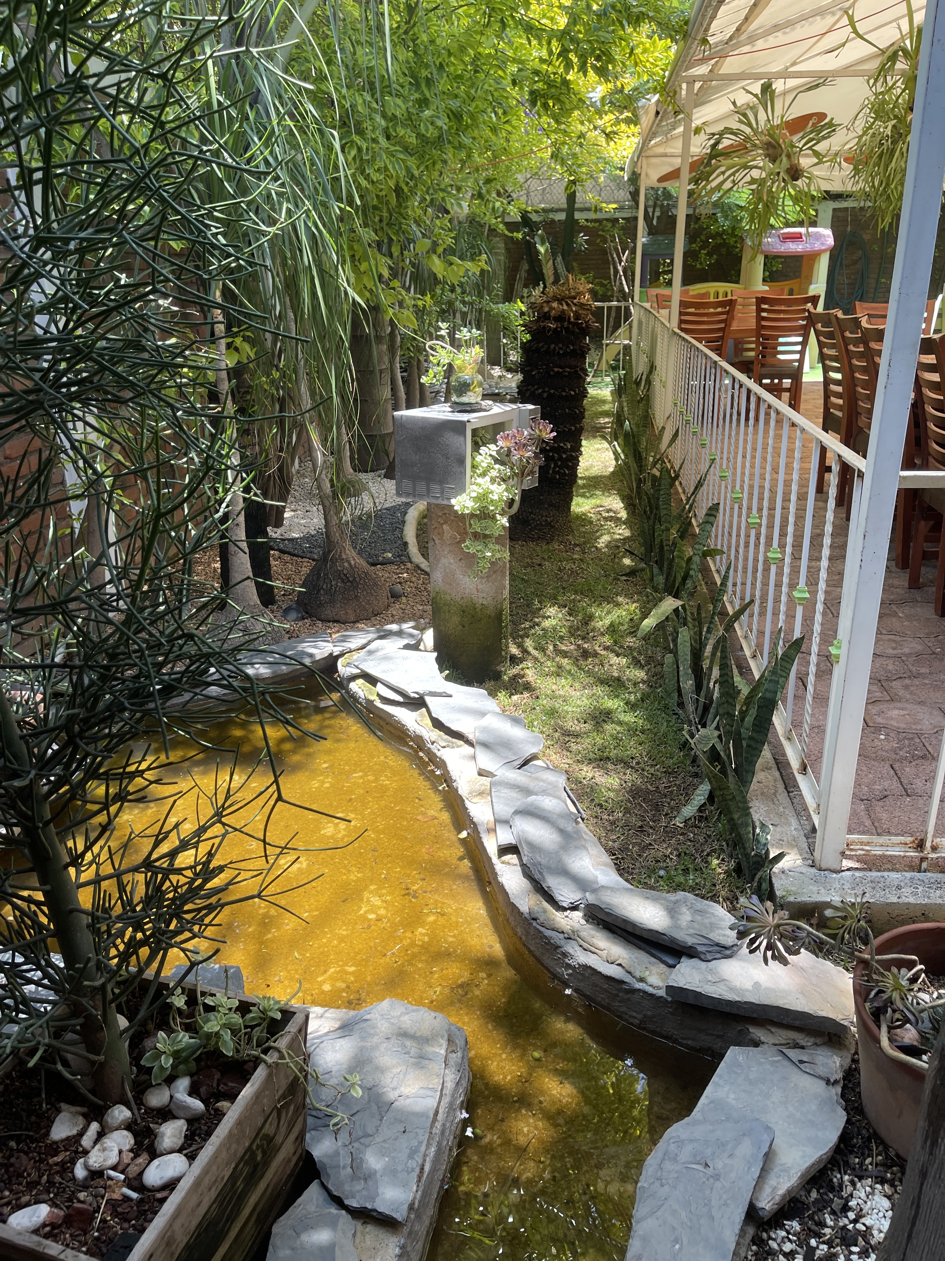 Casa Granada Morelia image 8