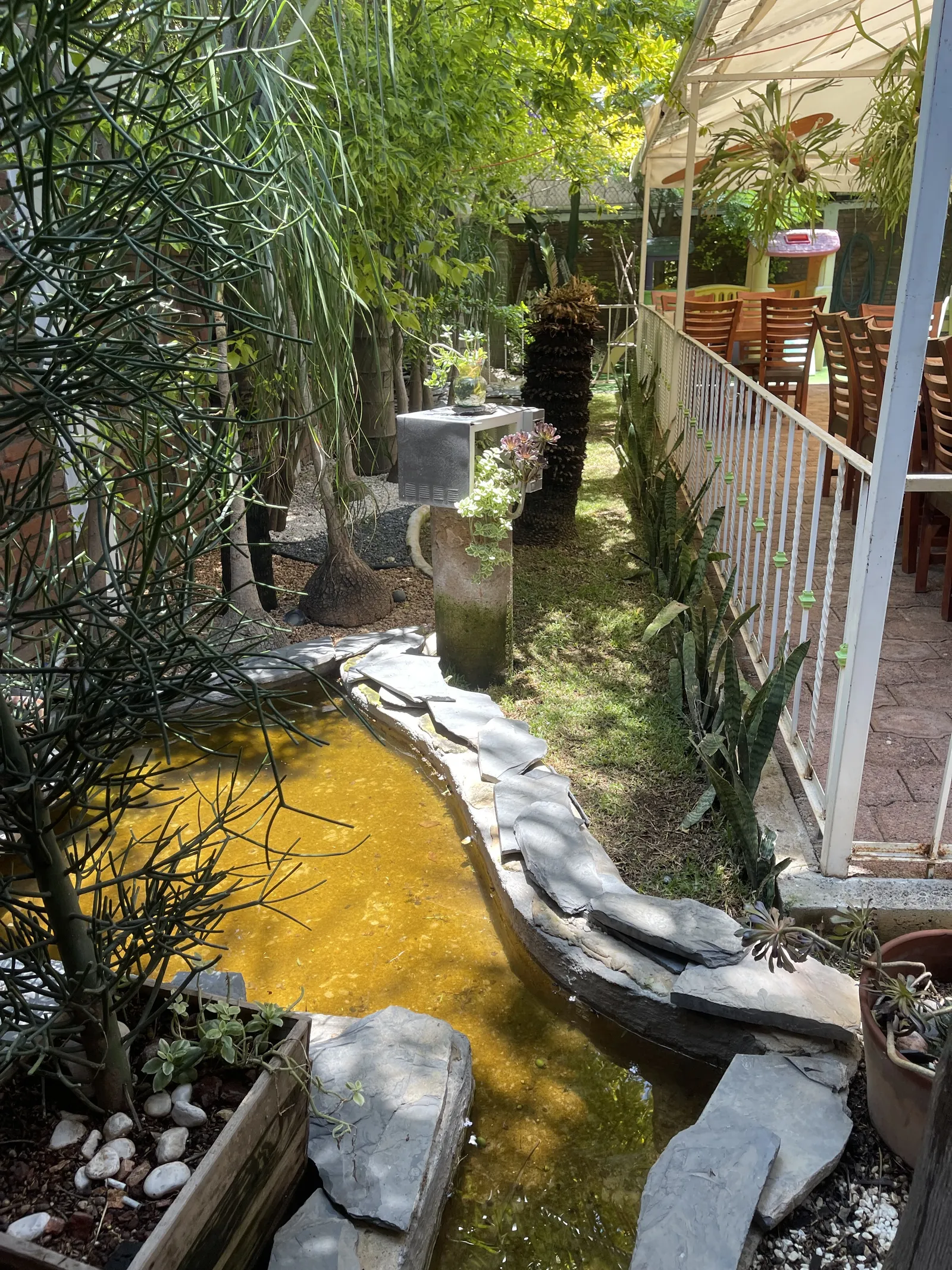 Casa Granada Morelia image 8