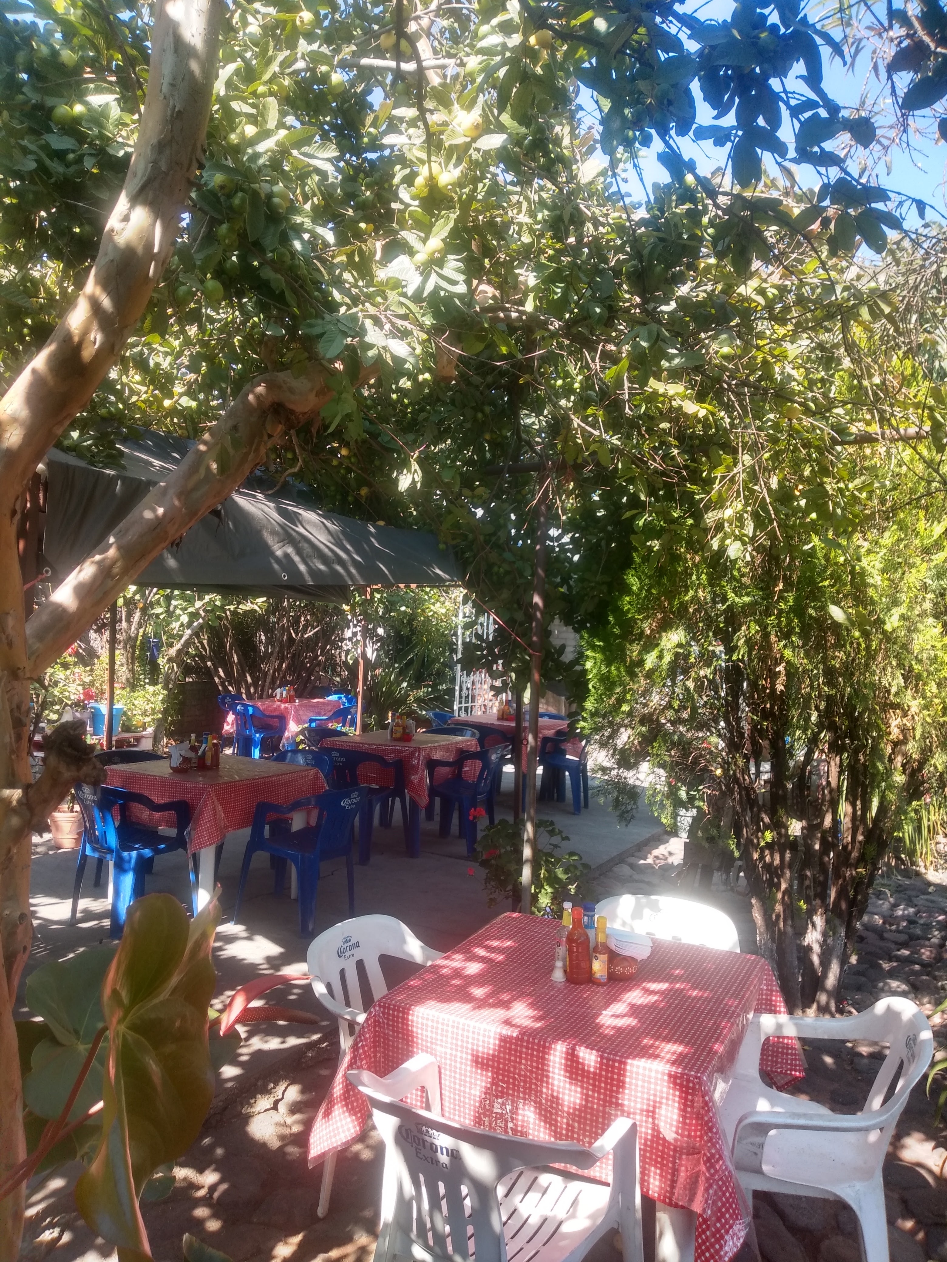 MARISCOS LA CRUZ image 3