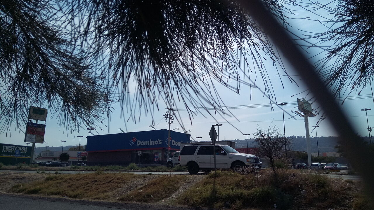 Domino's image 10