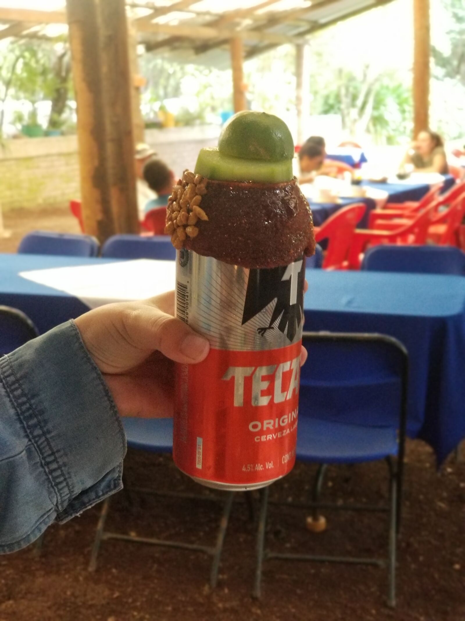 El Vergel, Resturante (Barbacoa) image 3