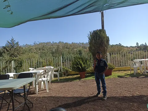 Barbacoa El kukais image 3