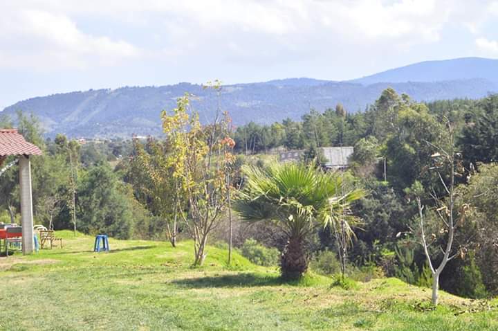 Barbacoa El kukais image 5