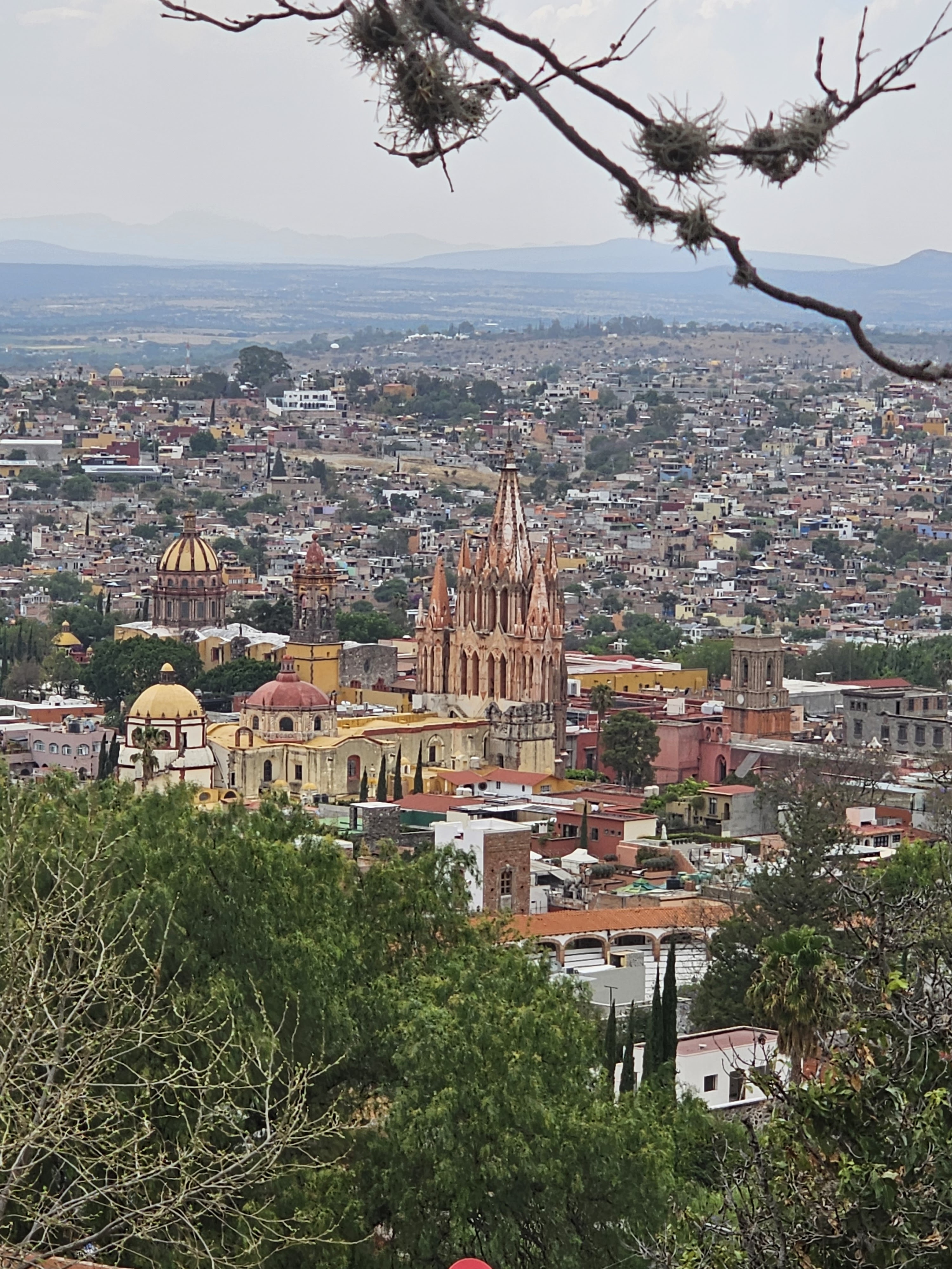 Los Milagros Terraza image 4