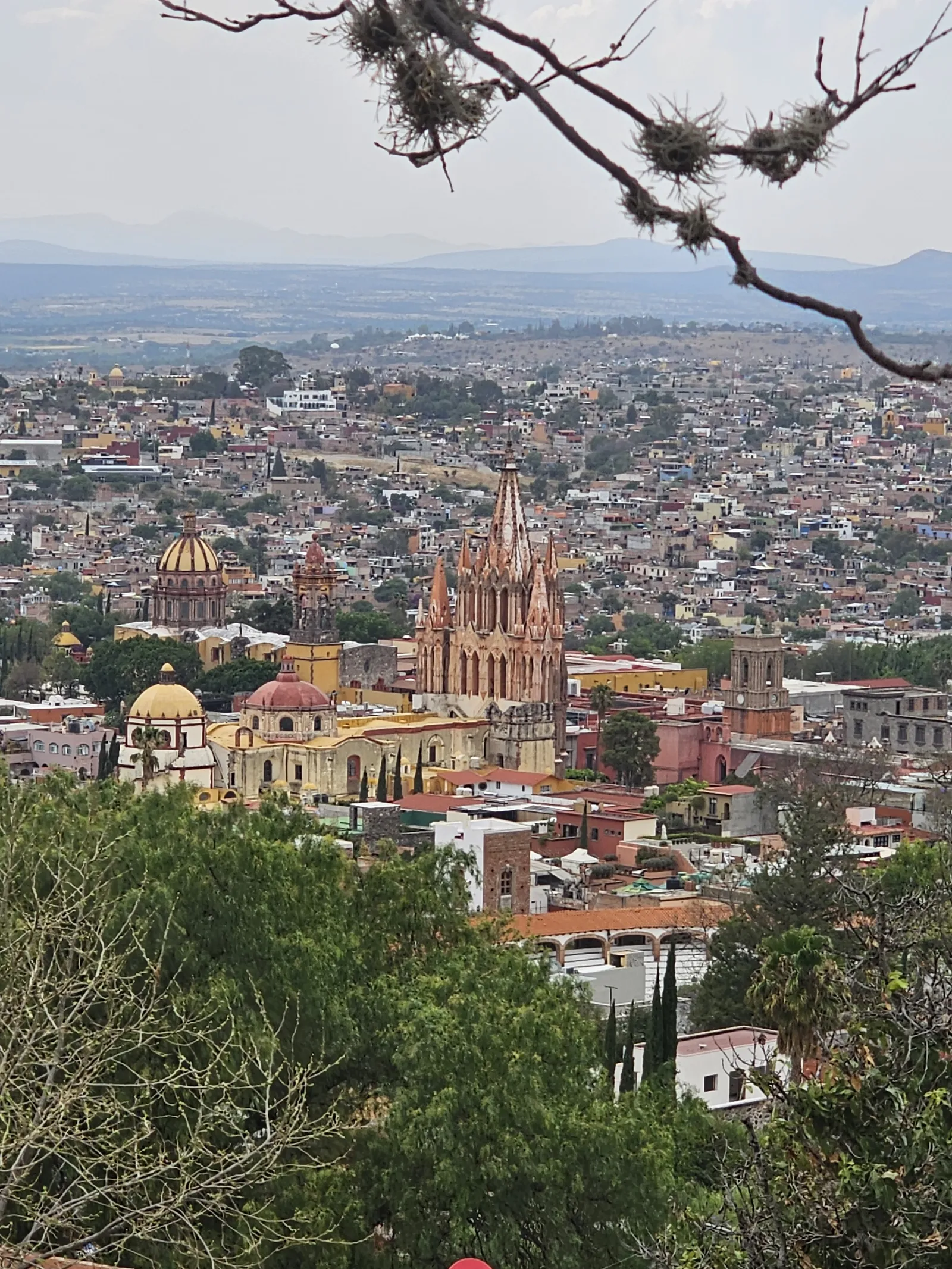 Los Milagros Terraza image 4
