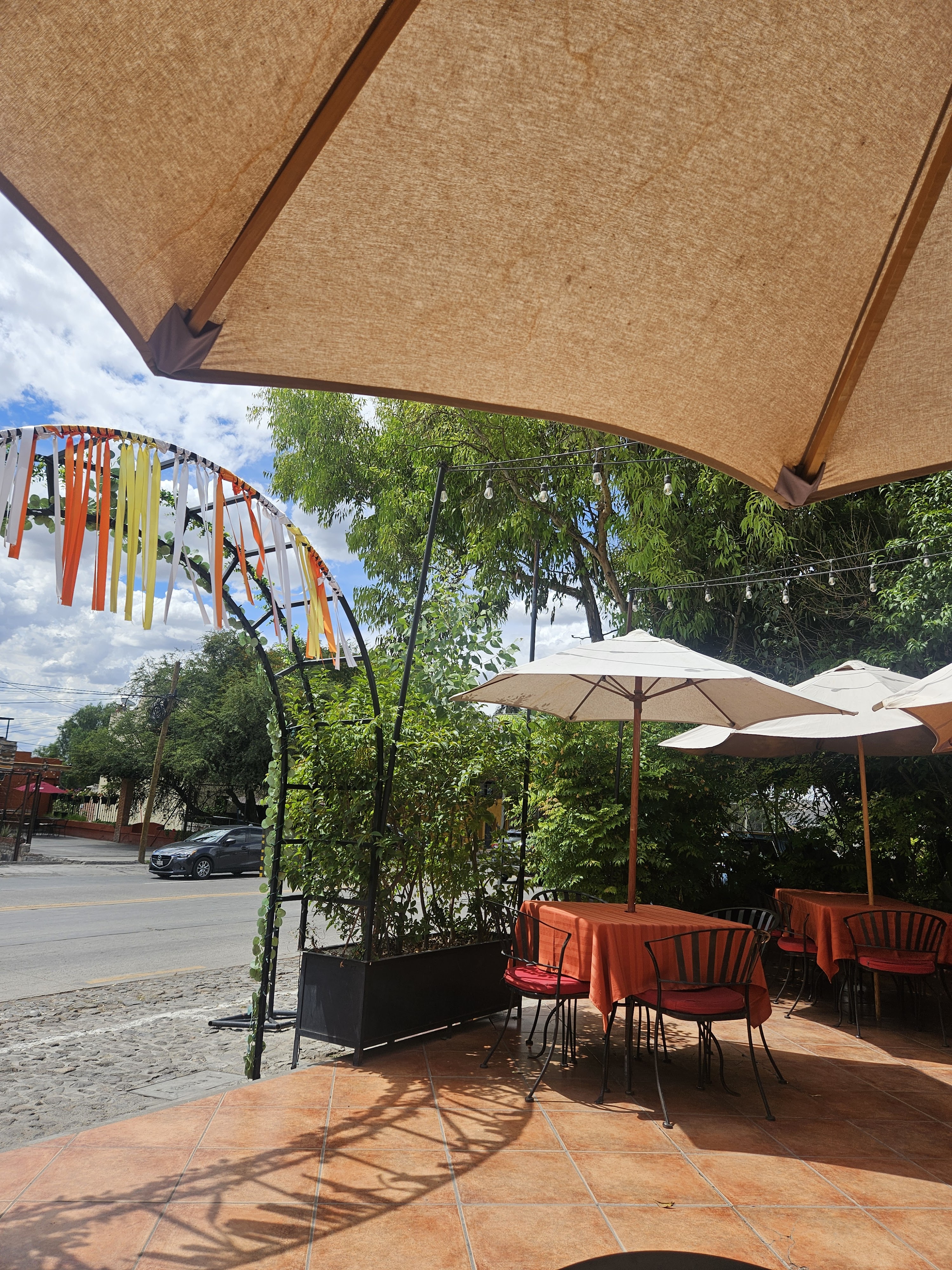 Restaurante Lolita image 10