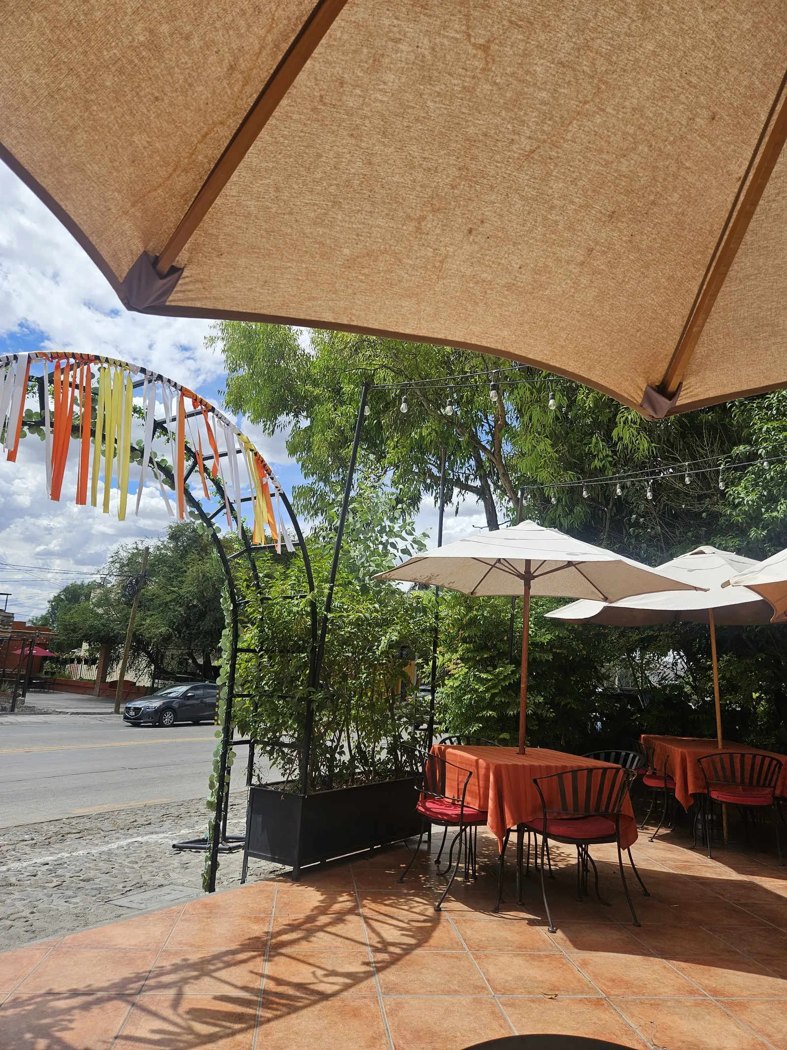 Restaurante Lolita image 10