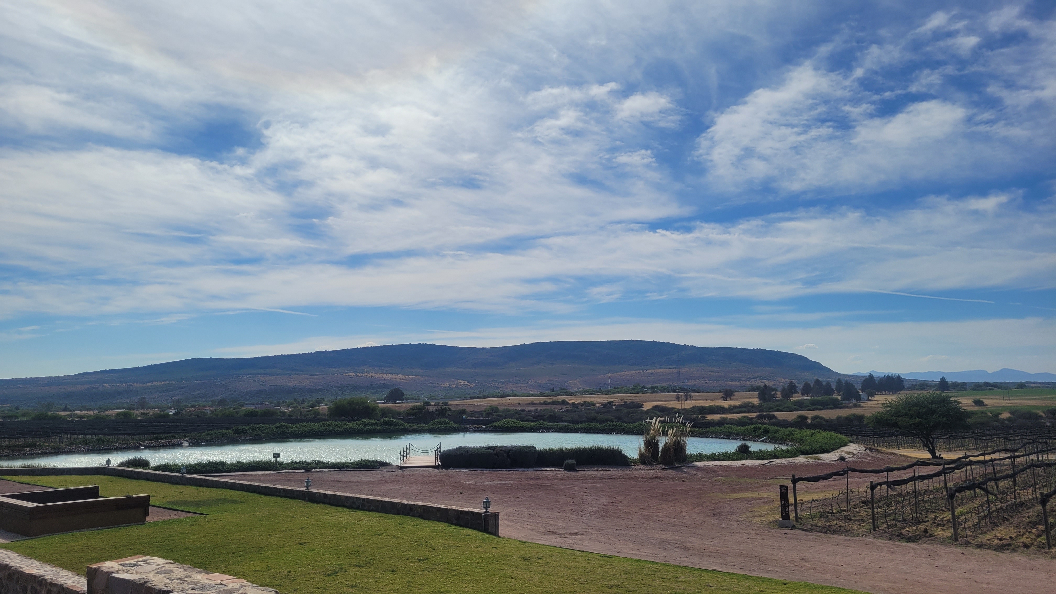 Terruño Restaurante image 4