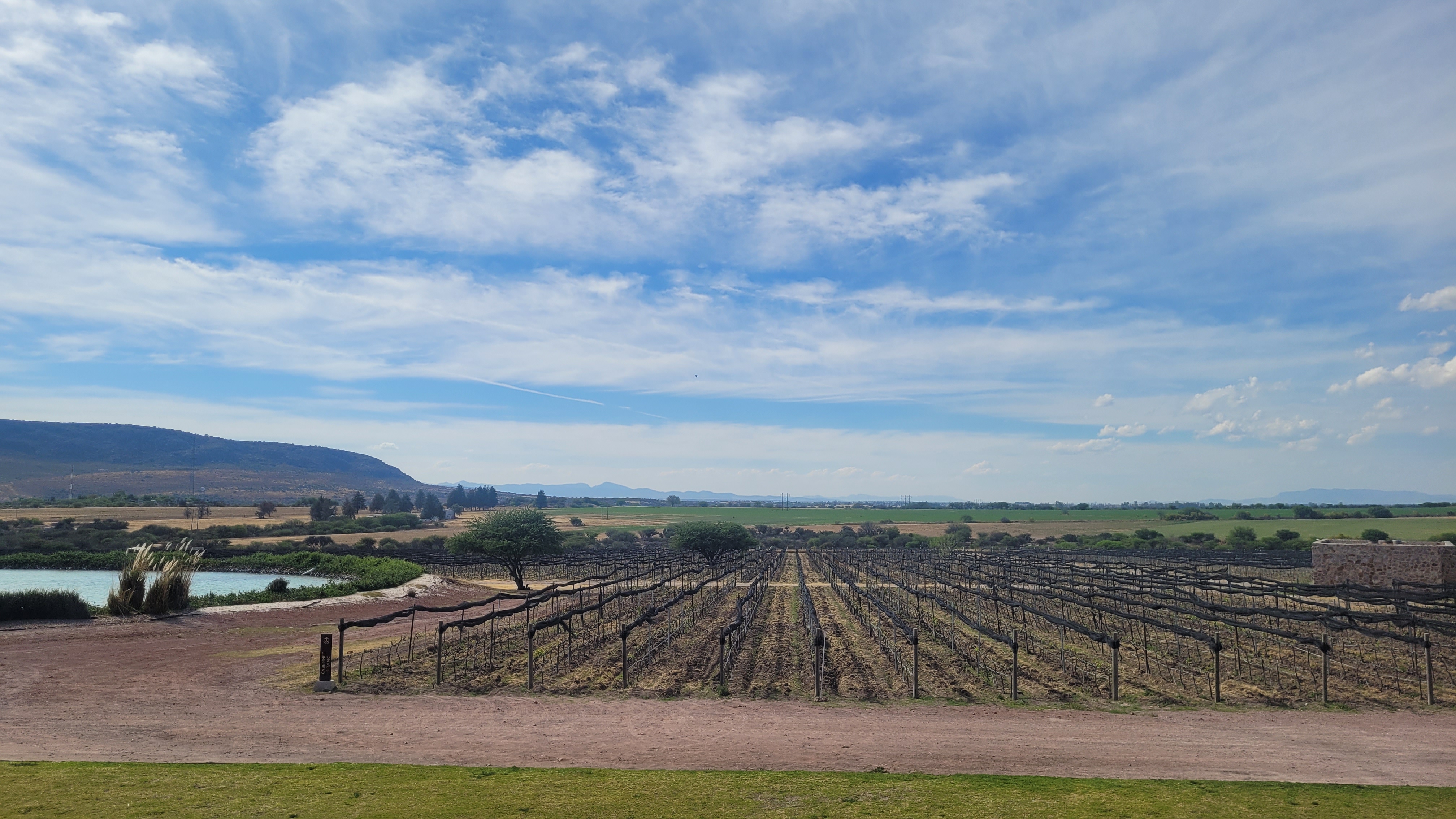 Terruño Restaurante image 5