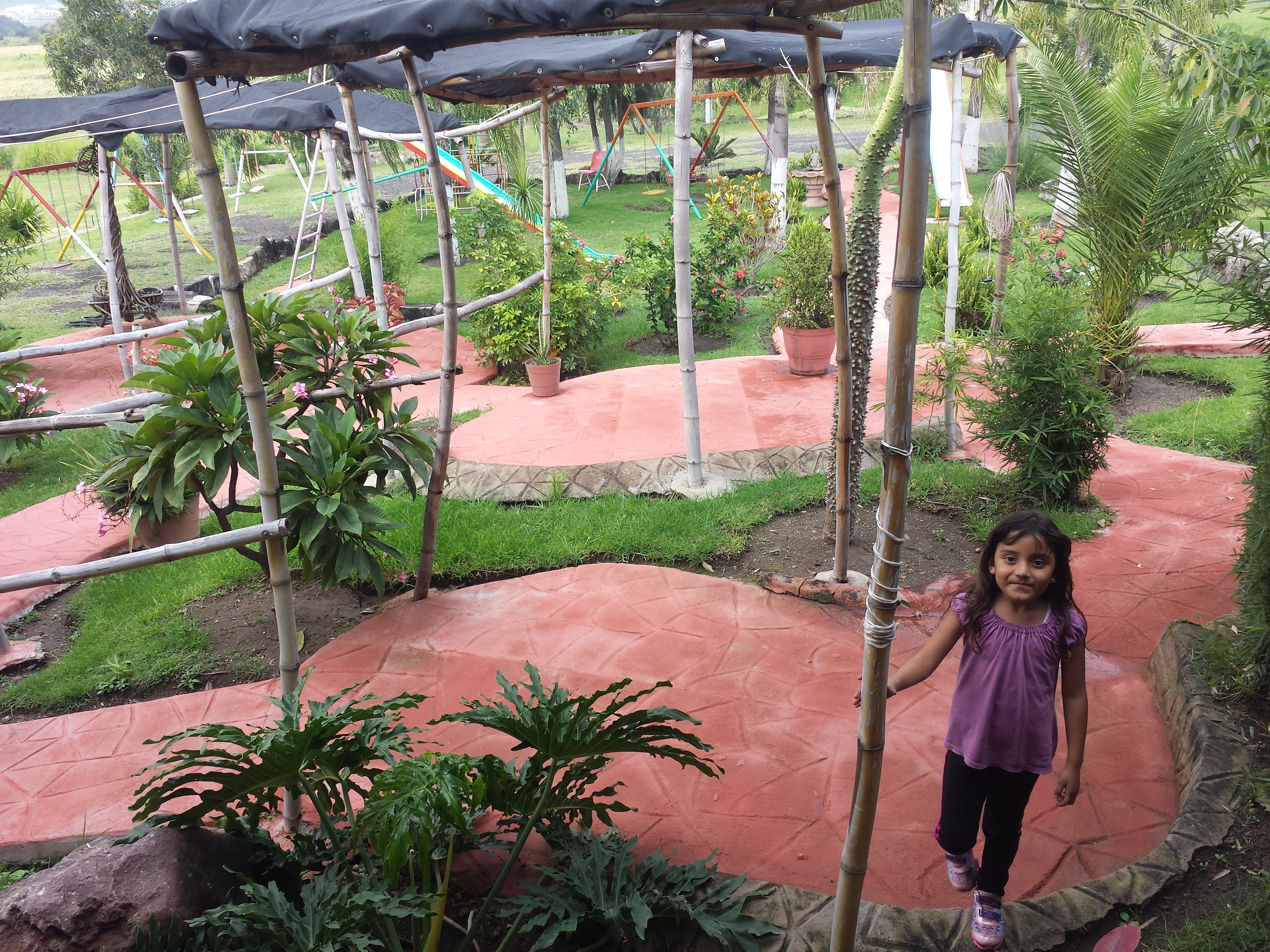 Pimo´s Birriería y Restaurant image 3