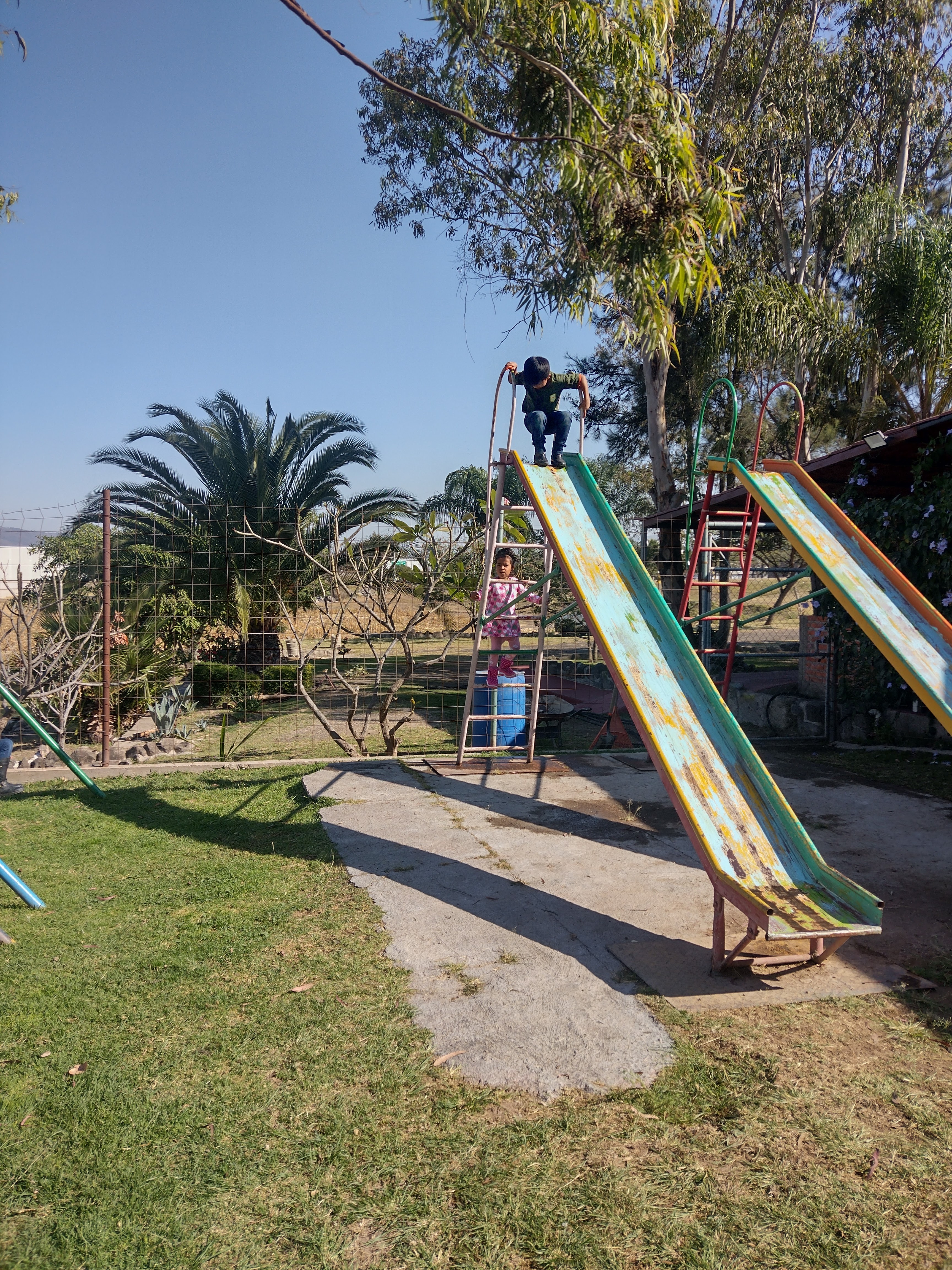 Pimo´s Birriería y Restaurant image 5