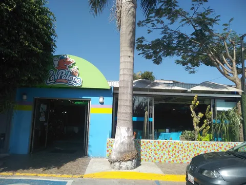 La Palapa San Nicolás image 1