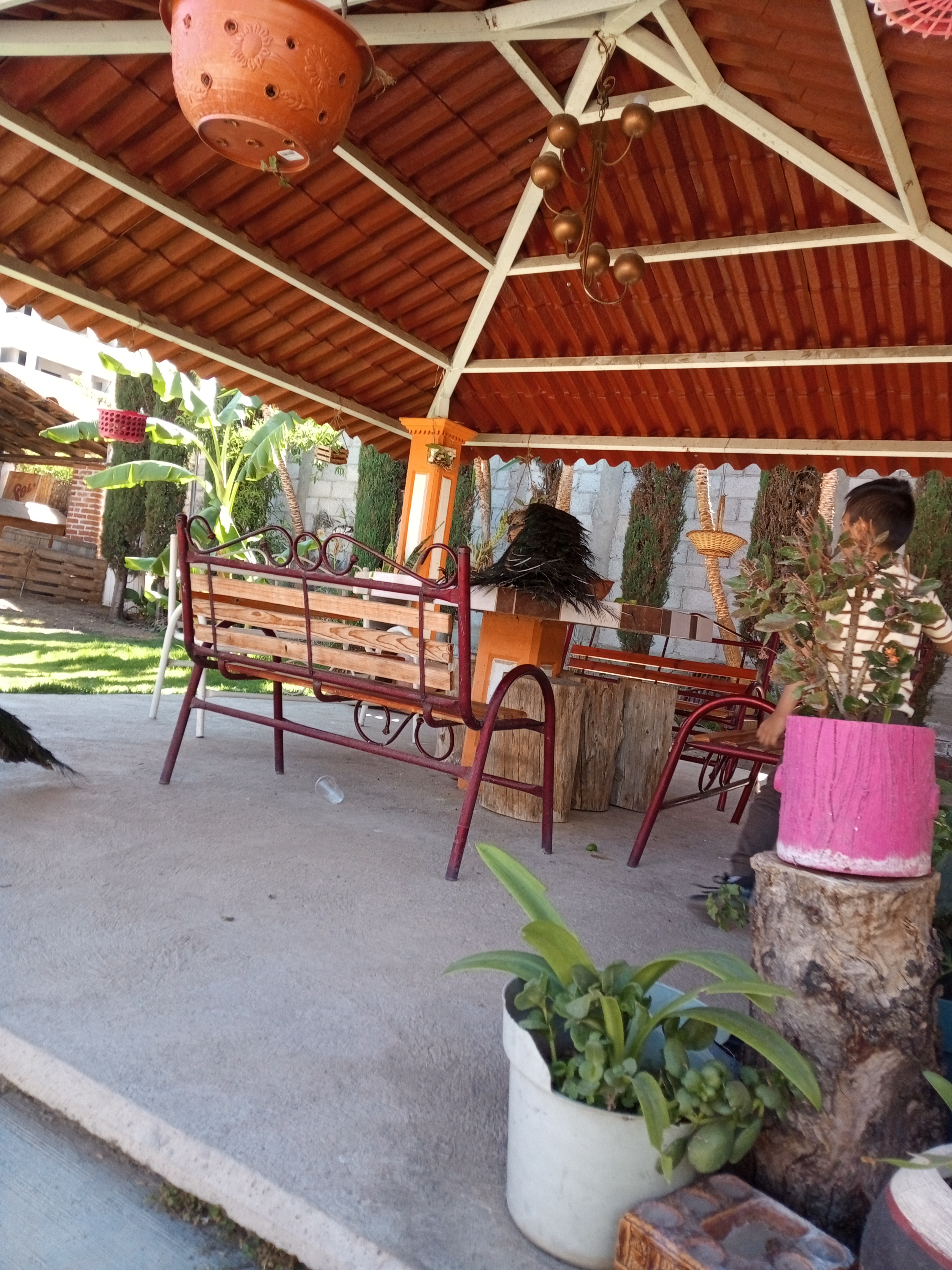 Carnitas "El Portal" image 1