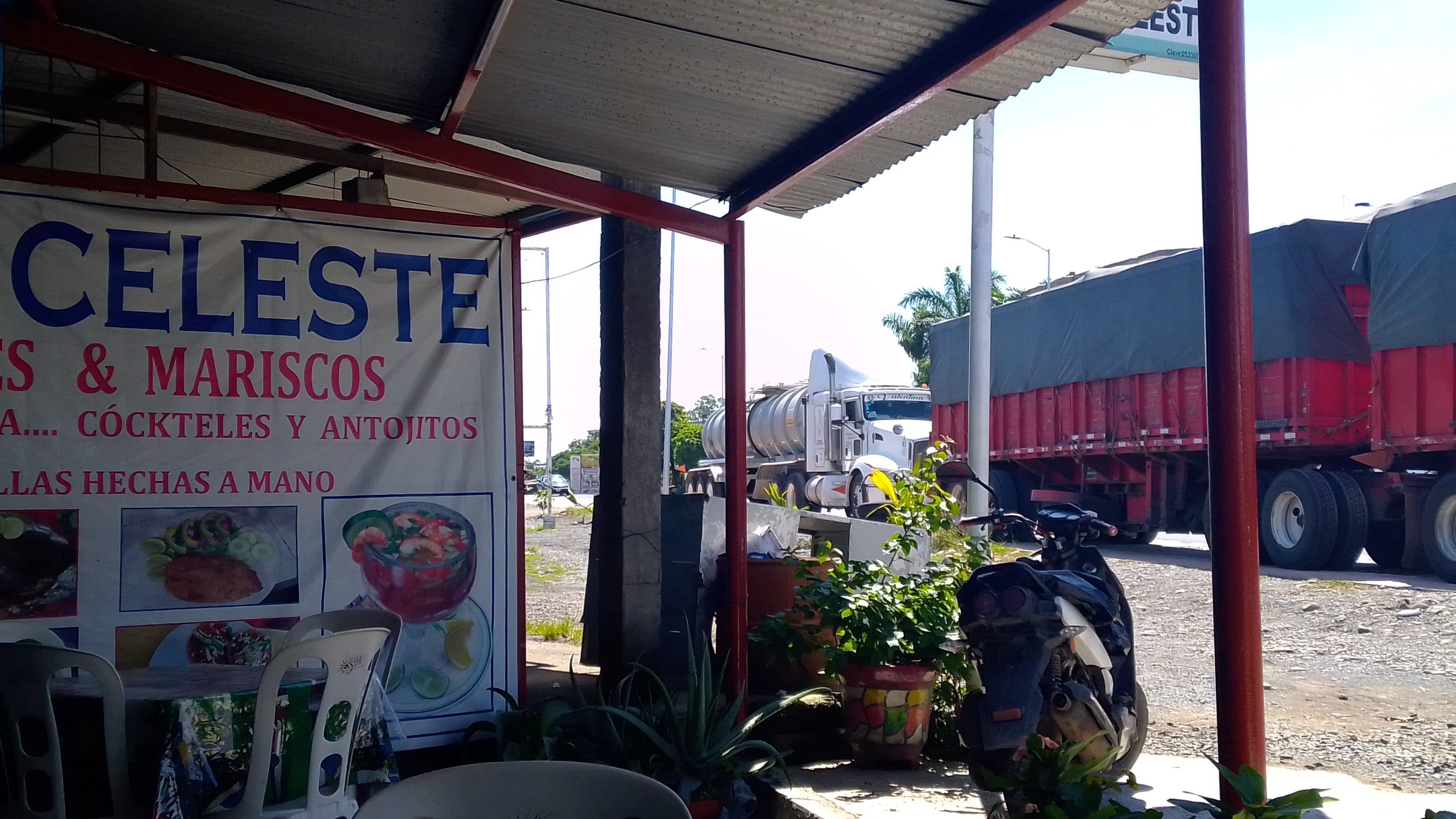 Restaurant "CELESTE" image 7