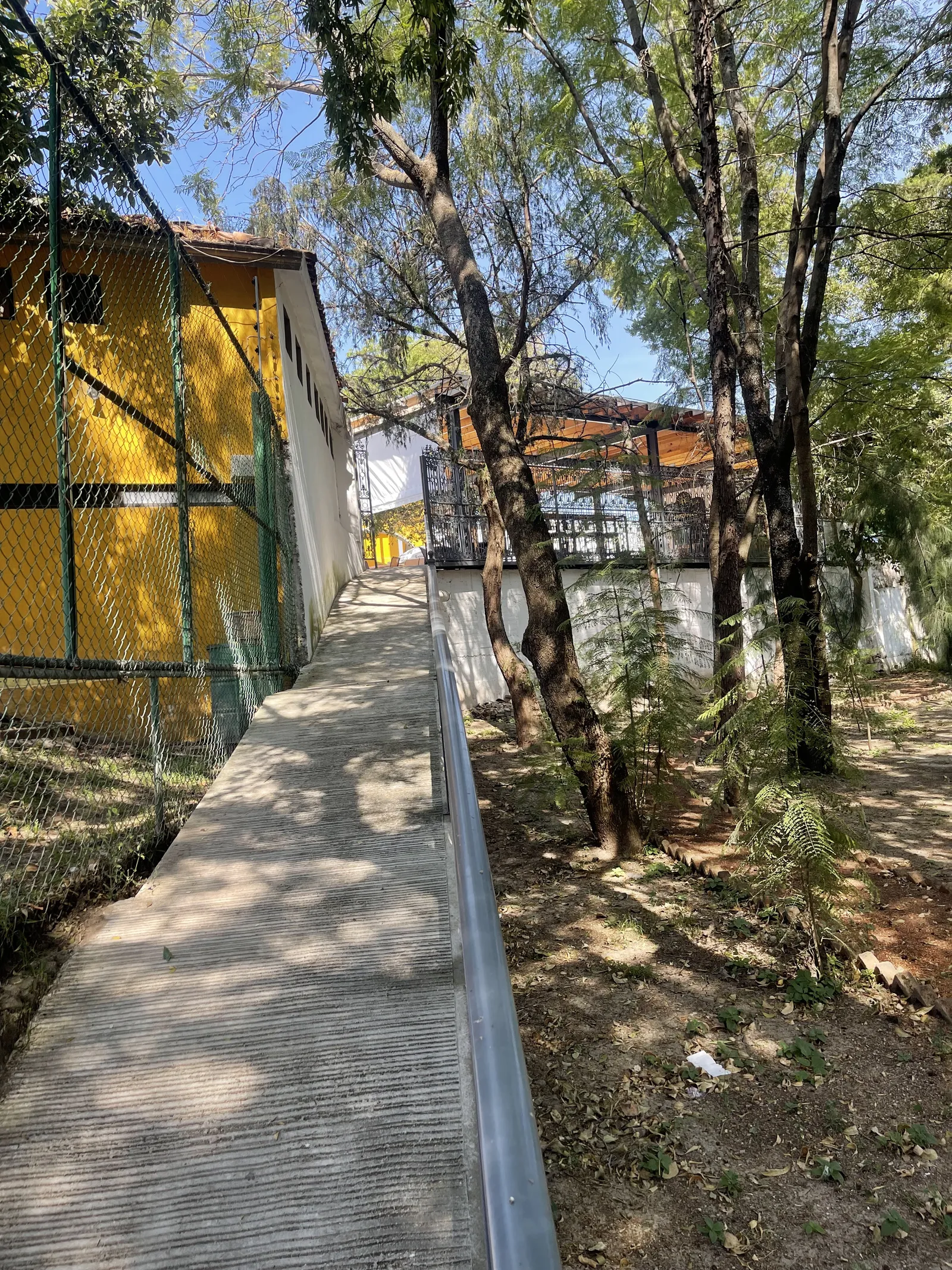 La Coronela image 7
