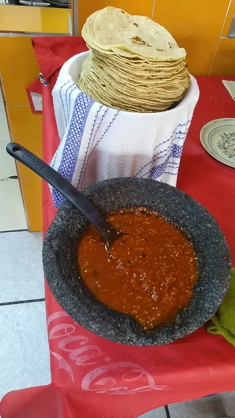 Fonda Paty image 2