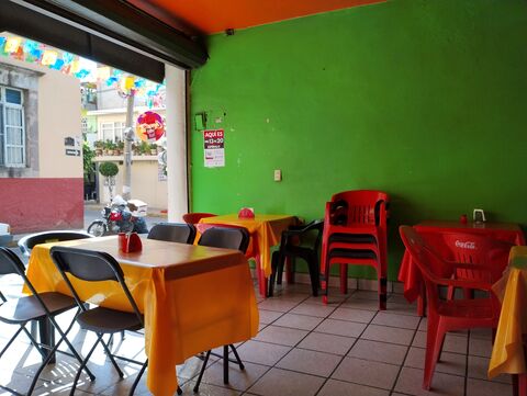 Fonda Paty image 4