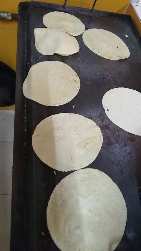 Fonda Paty image 7