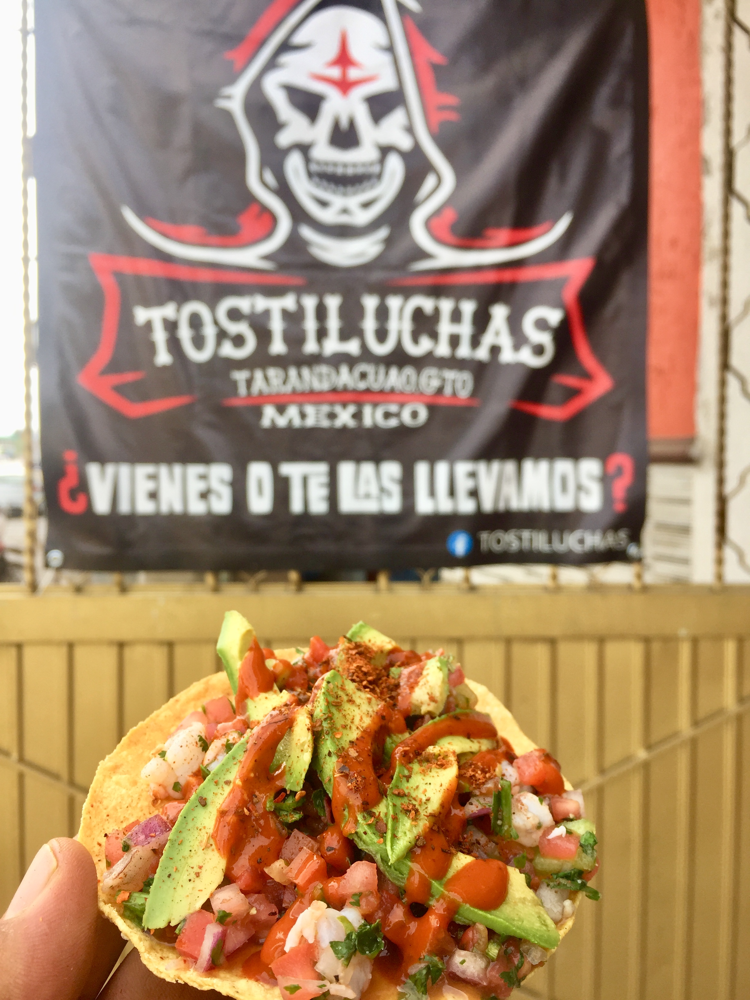 Tostiluchas image 7