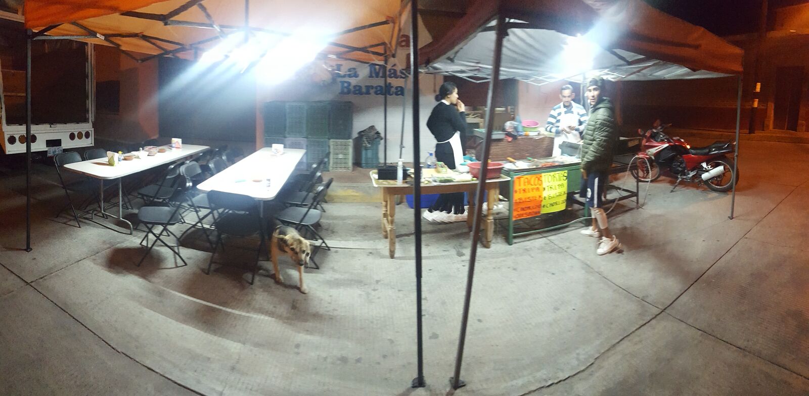 Taquería Los Lobos image 5